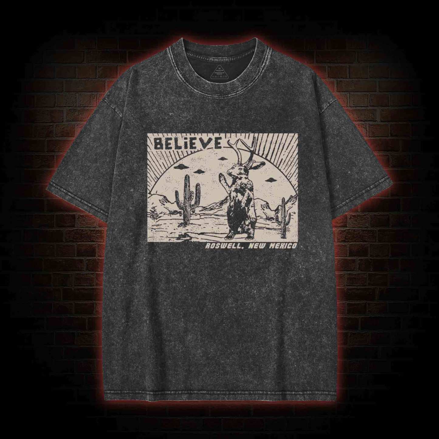 Believe Roswell New Nexico Washed T-shirt