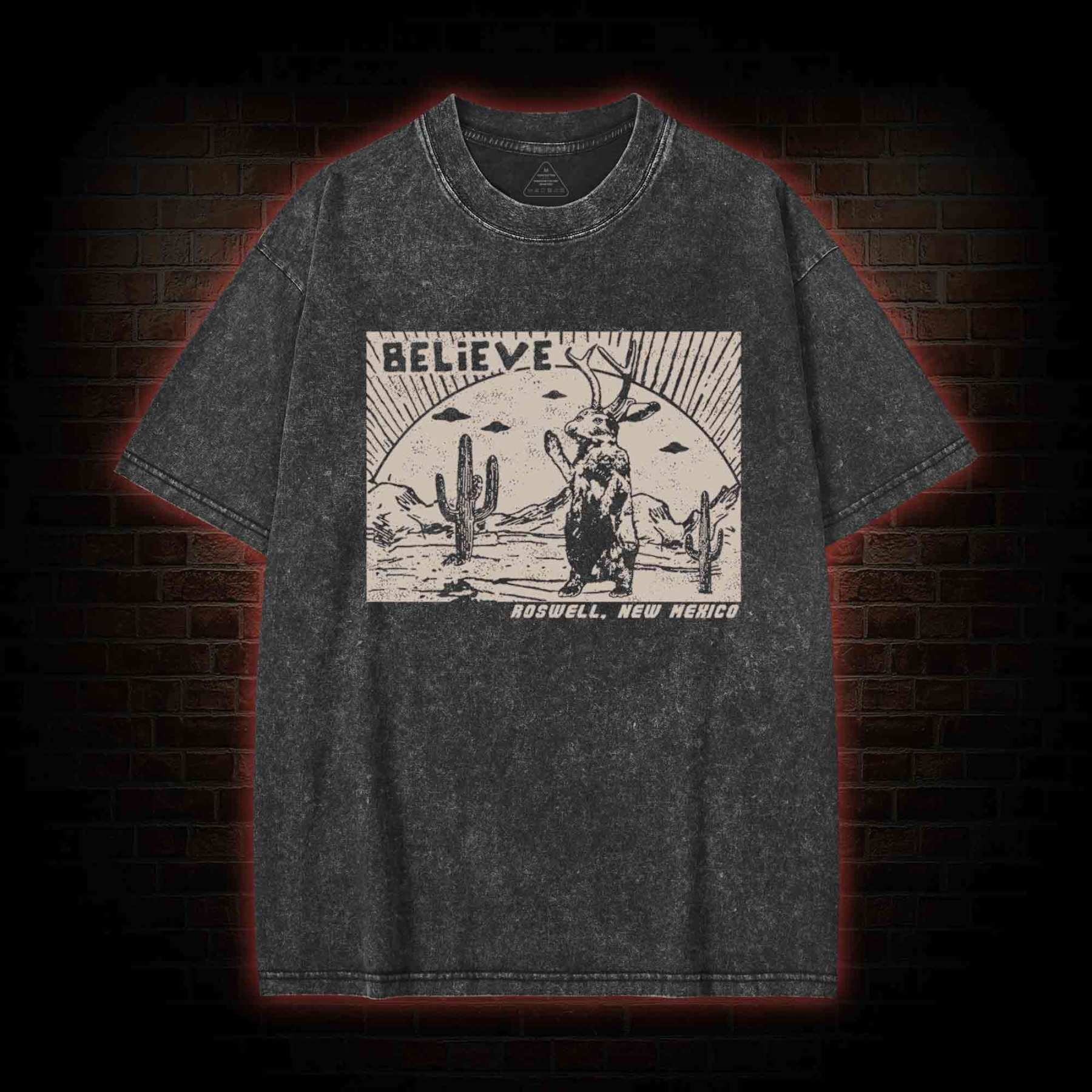 Believe Roswell New Nexico Washed T-shirt