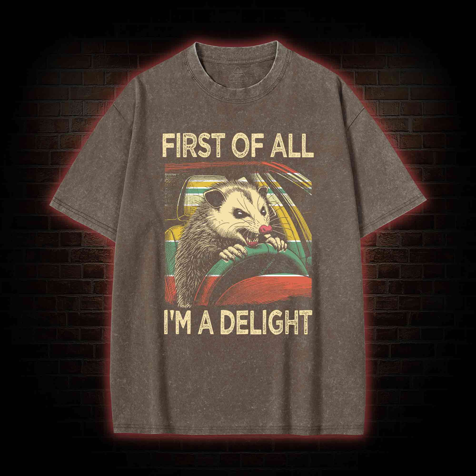 First Of All I'm A Delight Washed T-shirt