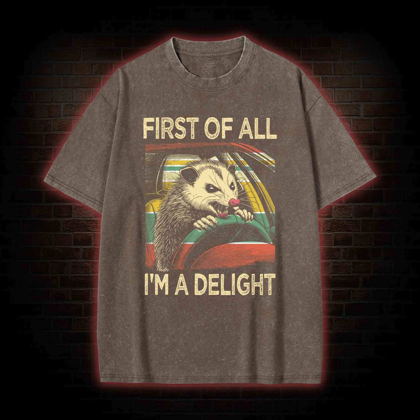 First Of All I'm A Delight Washed T-shirt