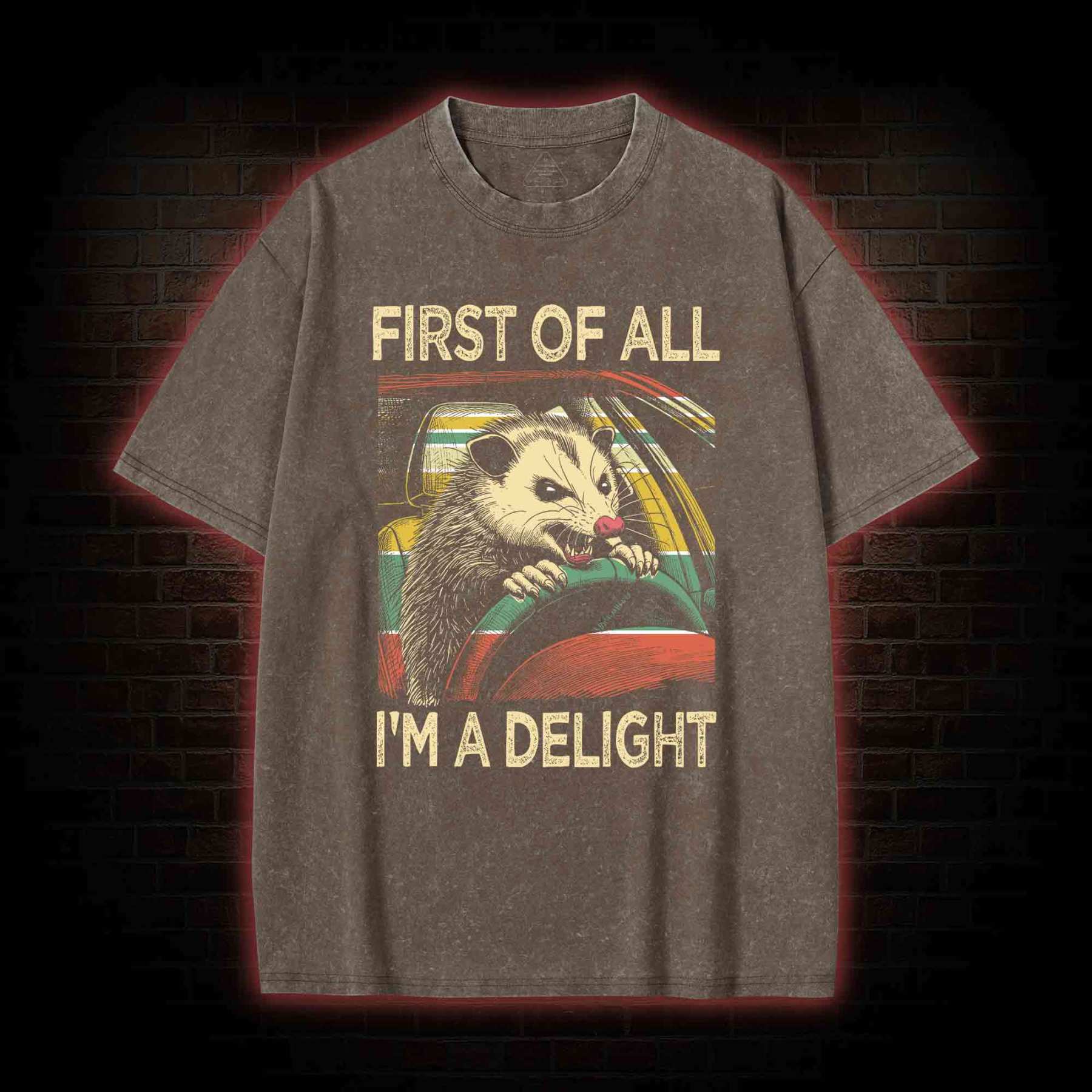 First Of All I'm A Delight Washed T-shirt