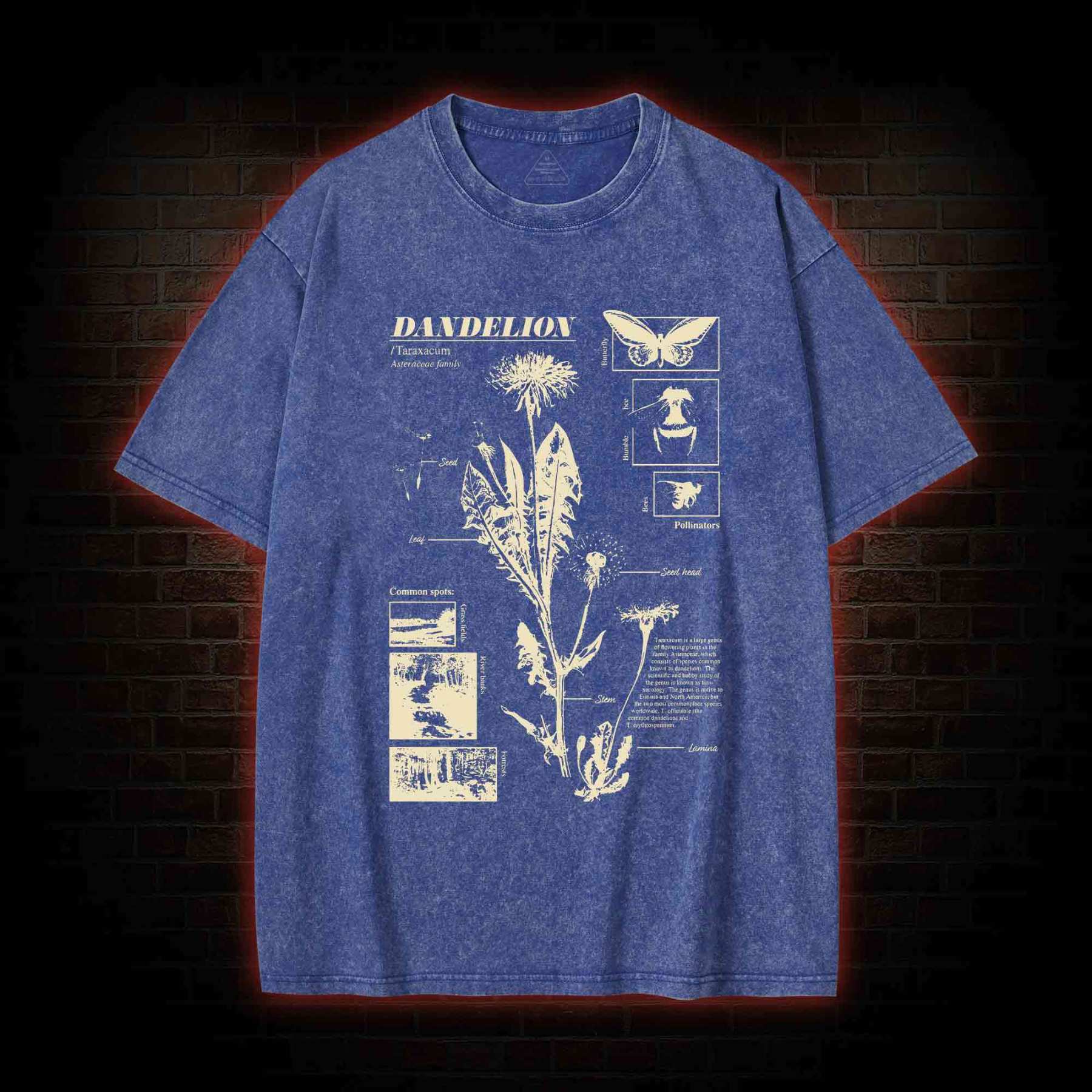 Dandelion Washed T-shirt