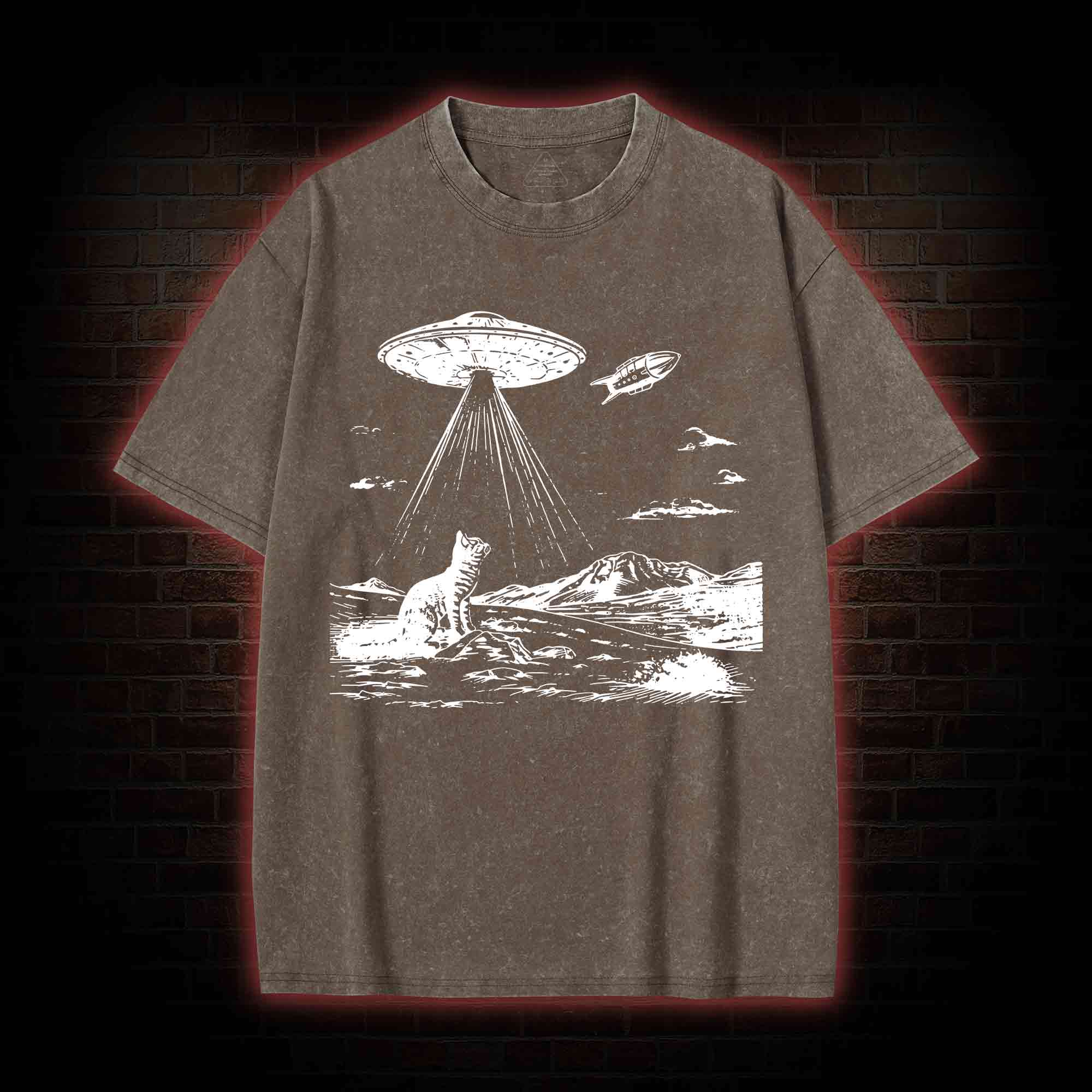 Ufo Cat Washed T-shirt