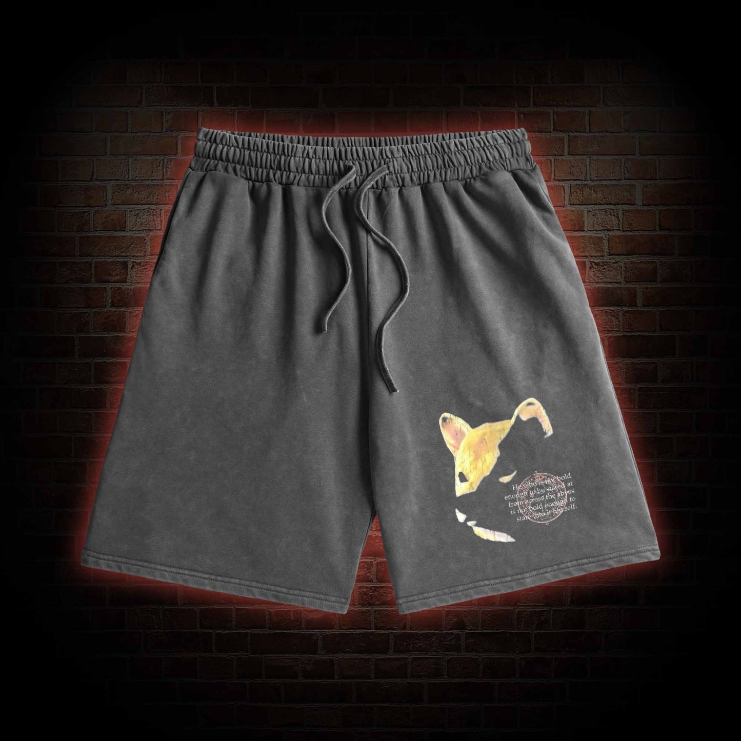 Shiba Washed Shorts