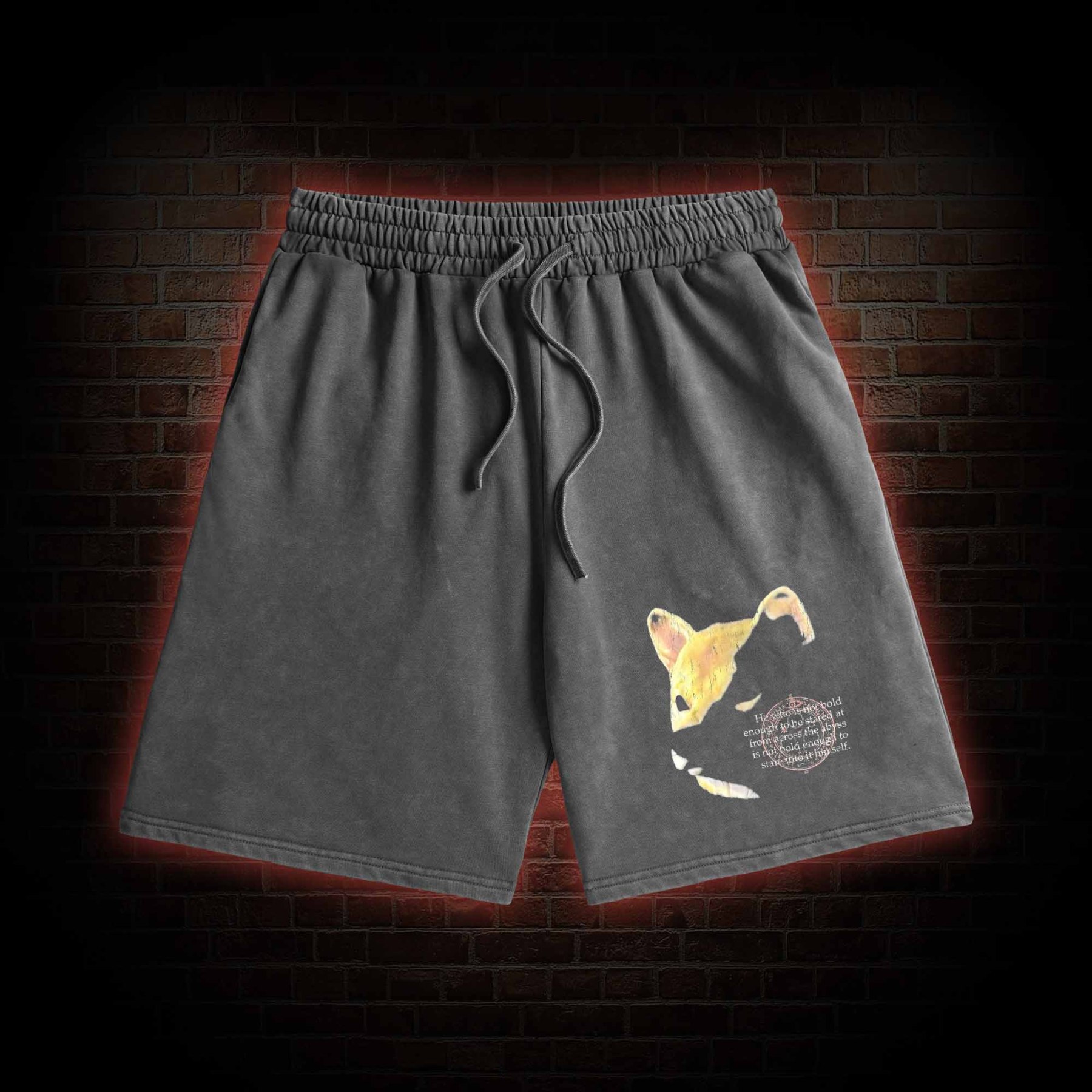 Shiba Washed Shorts