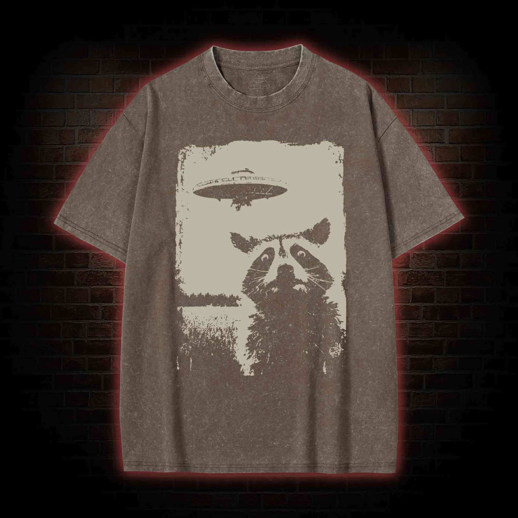 Raccoon UFO Washed T-shirt