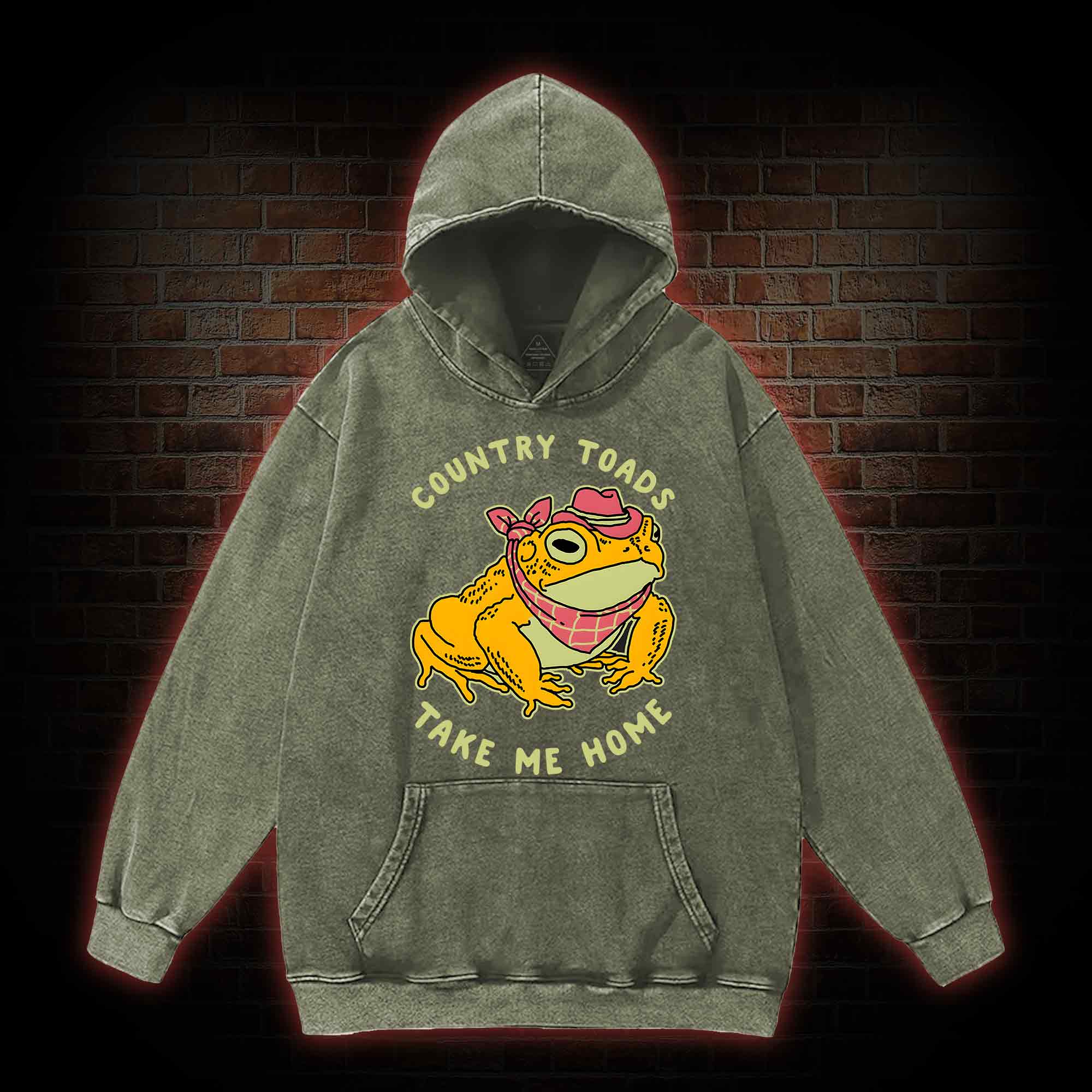 Country Toads Take Me Home Washed Hoodie