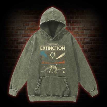 A Fool's Guide To Extinction Washed Hoodie