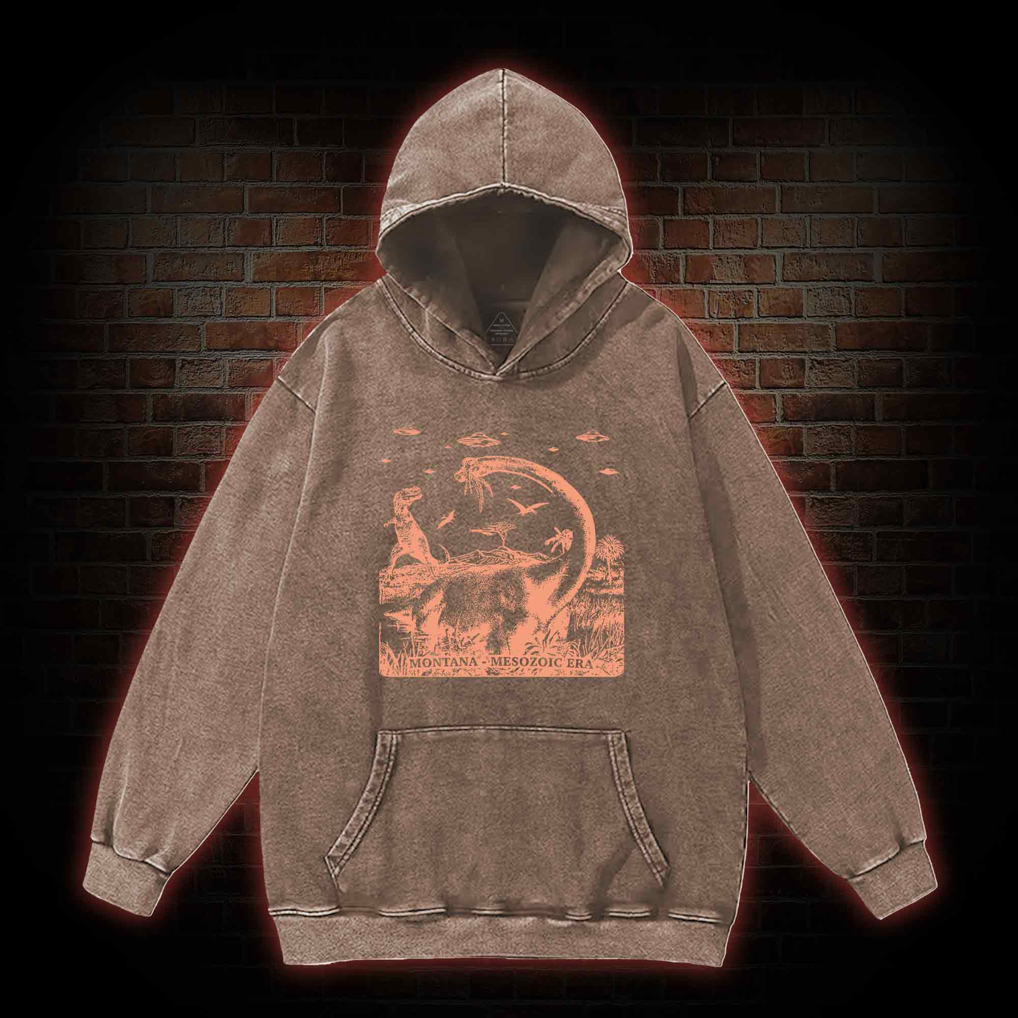 Montana Mesozoic Era Washed Hoodie