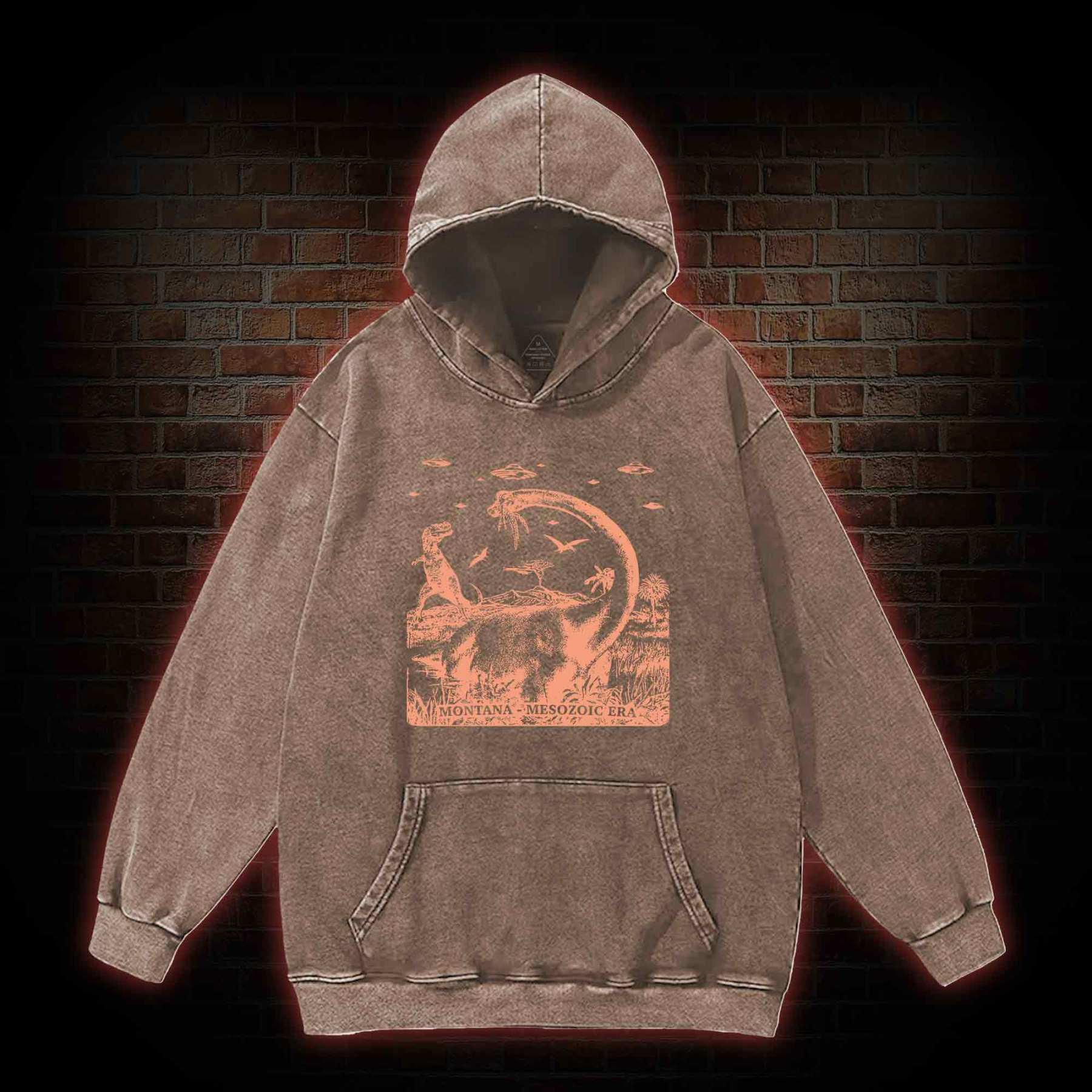 Montana Mesozoic Era Washed Hoodie