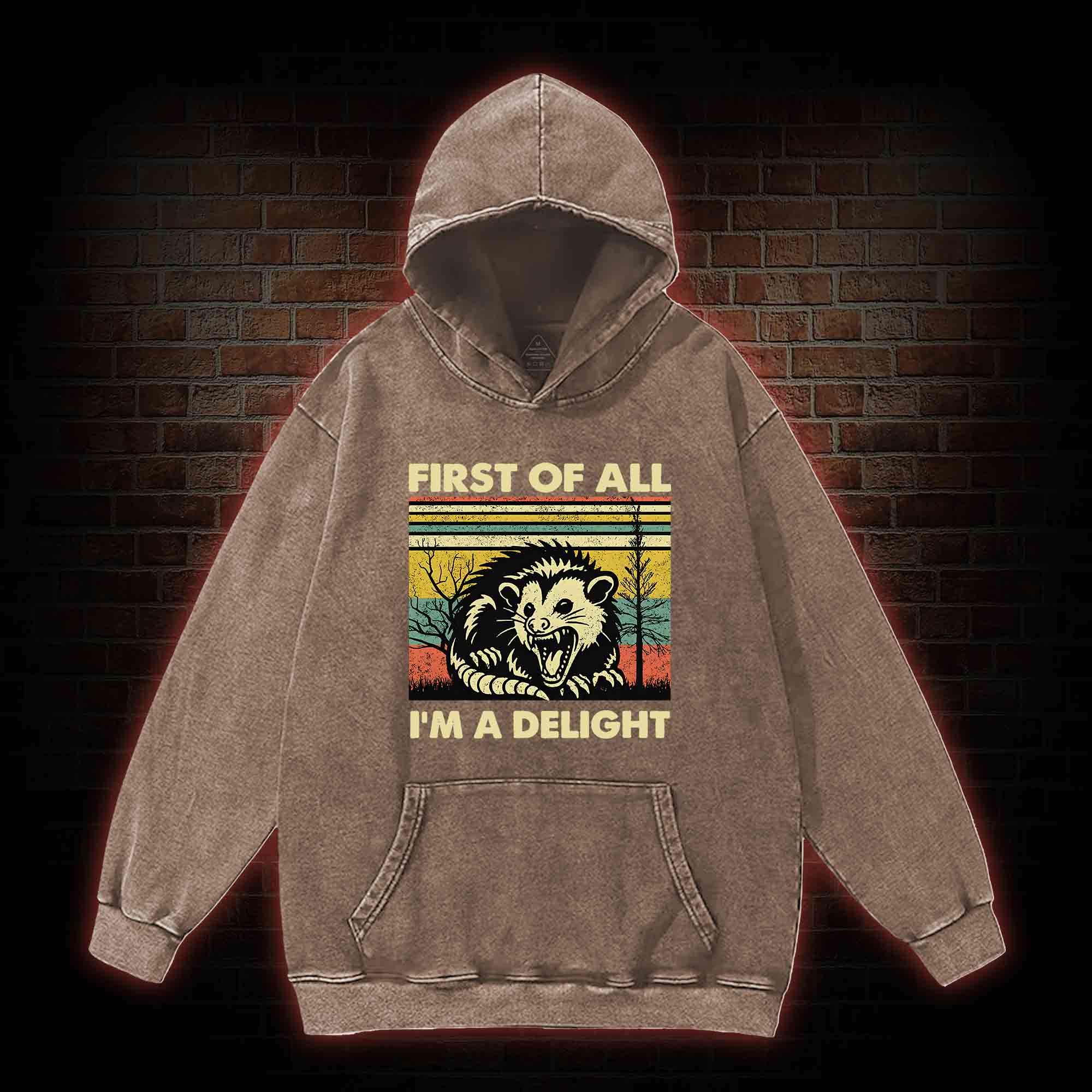 I'm A Delight Washed Hoodie