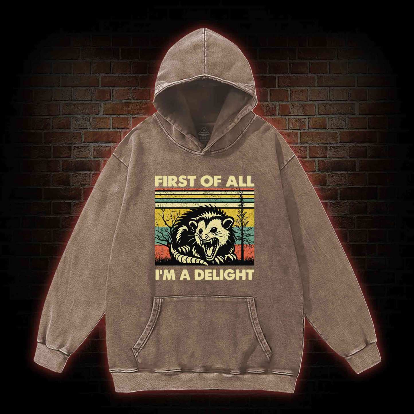 I'm A Delight Washed Hoodie