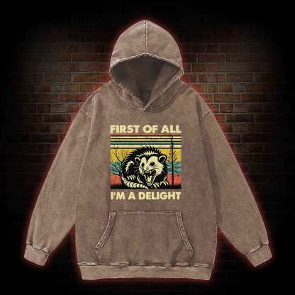 I'm A Delight Washed Hoodie