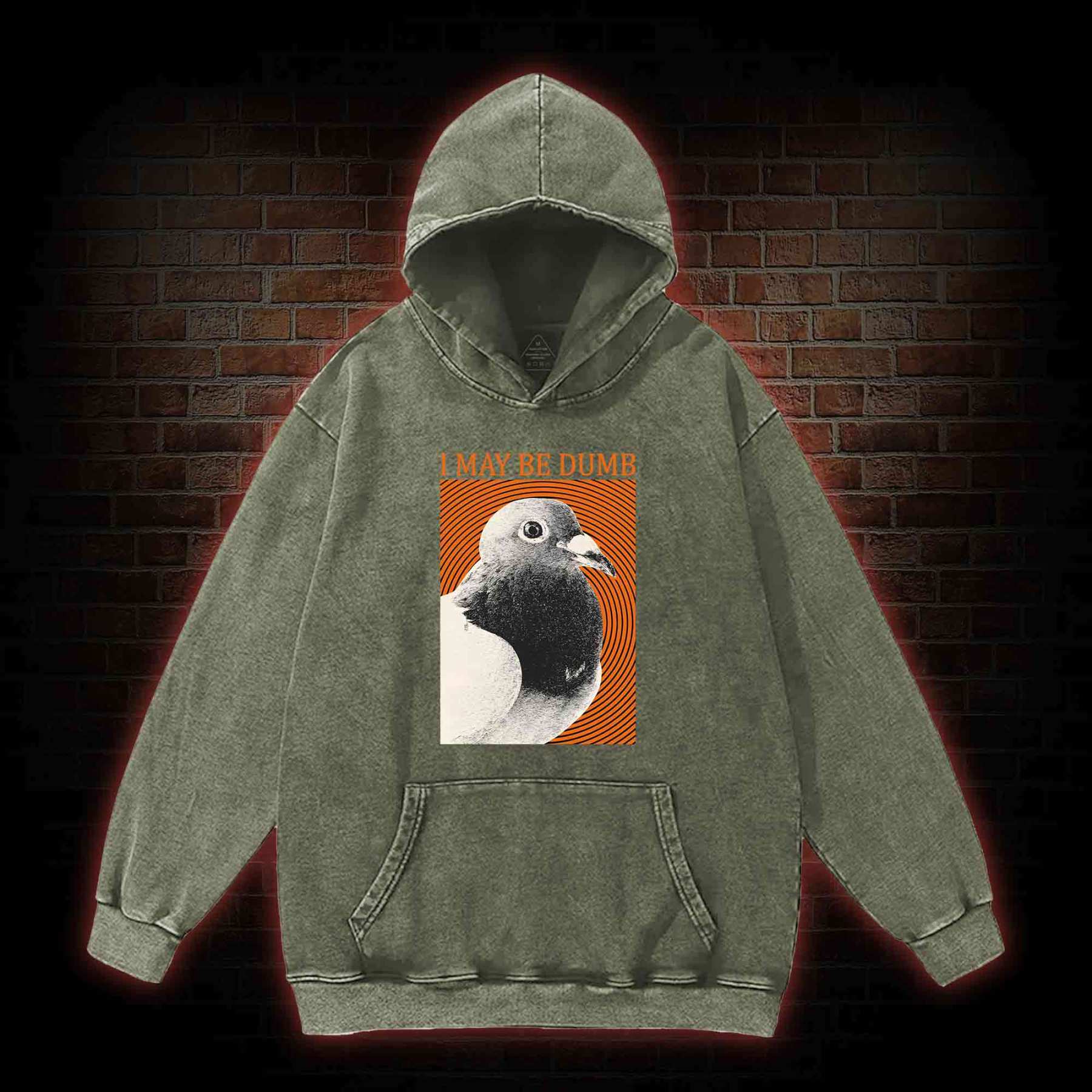 I May Be Dumb Washed Hoodie