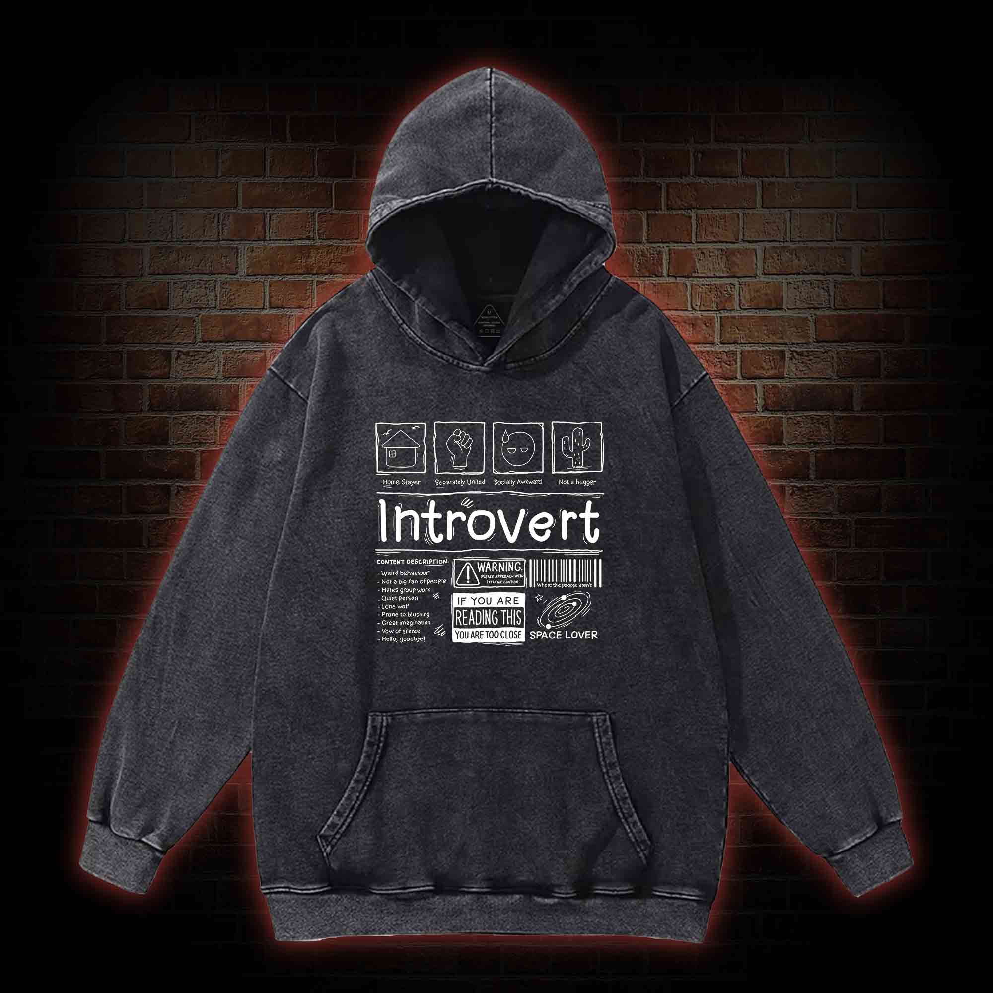 Introvert Washed Hoodie