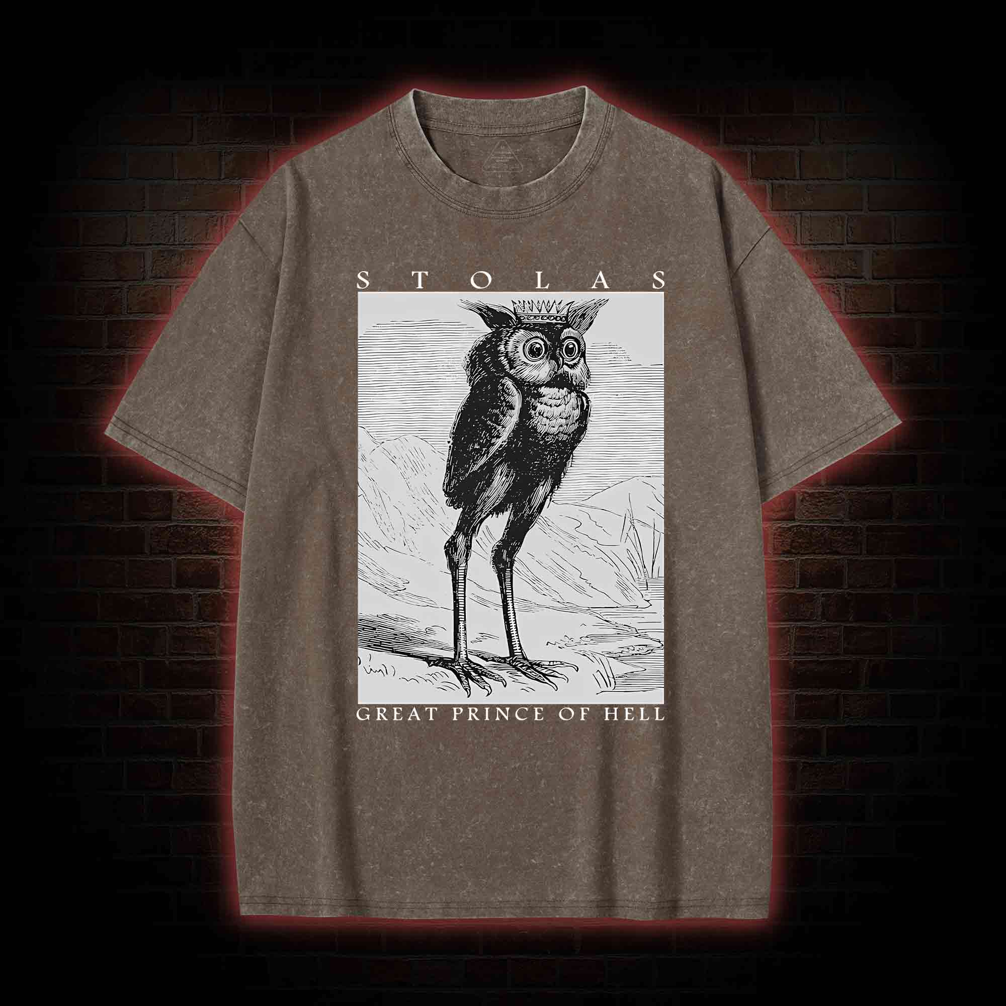 Stolas Prince Of Hell Washed T-shirt