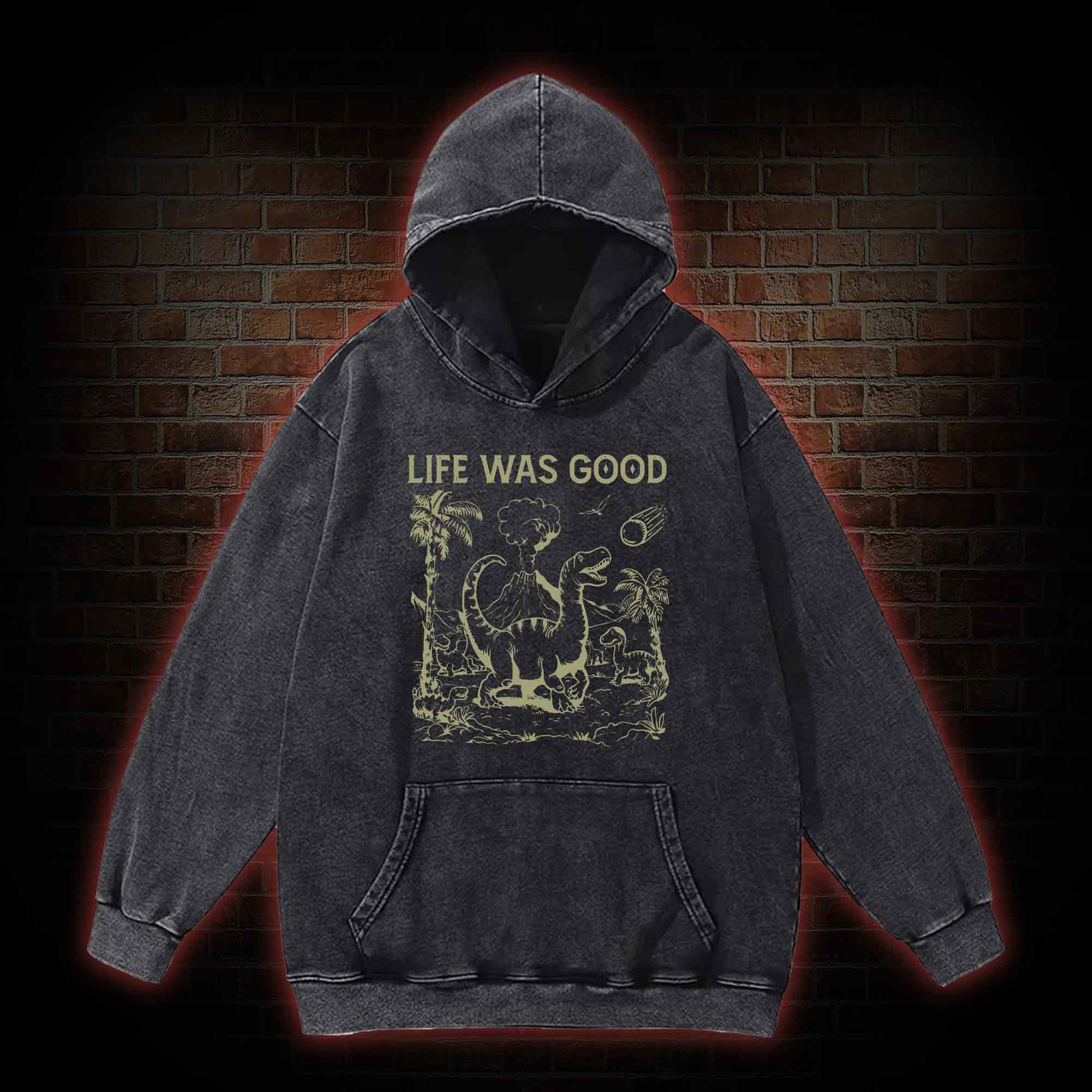Life Was Good Washed Hoodie