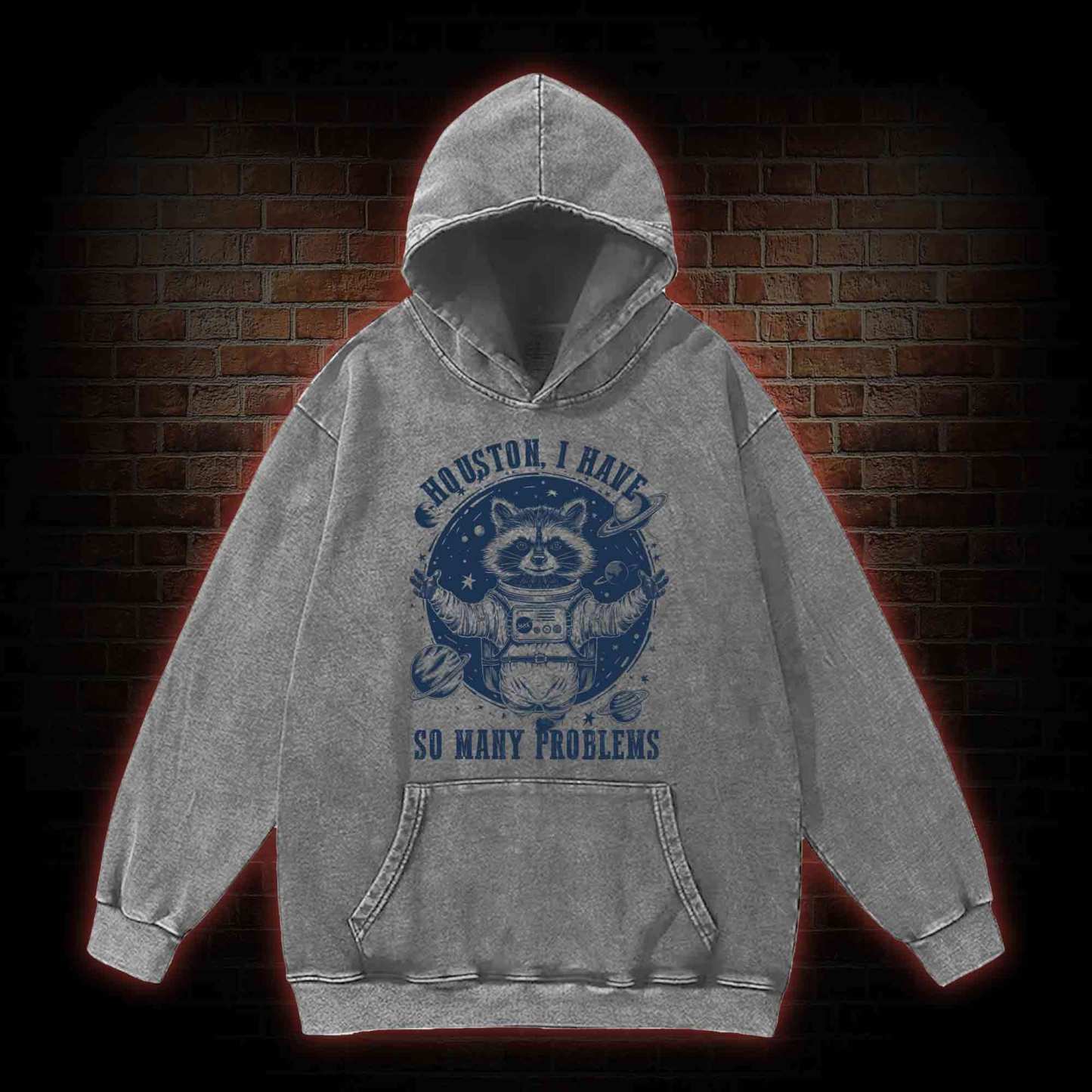 Houston I Have So Many Problems Raccoon Washed Hoodie