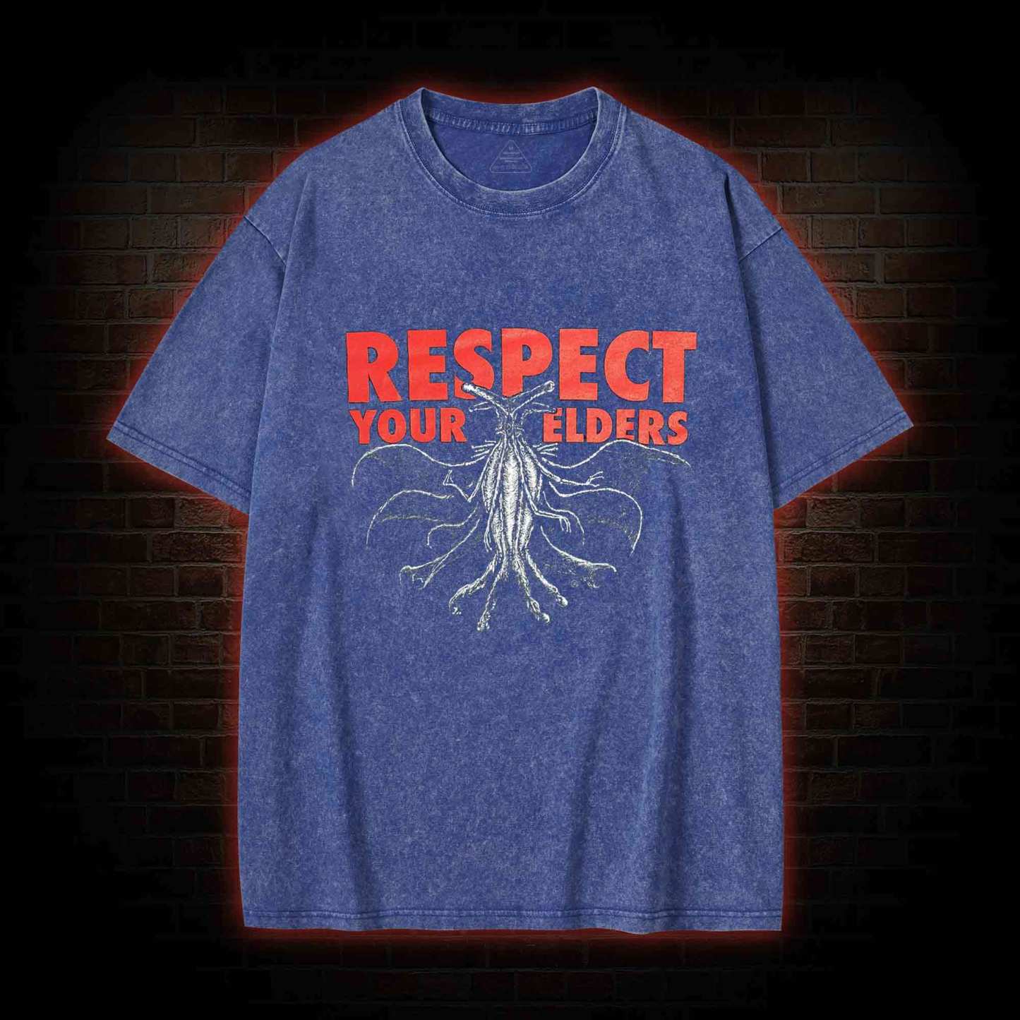 Respect Your Elders Washed T-shirt