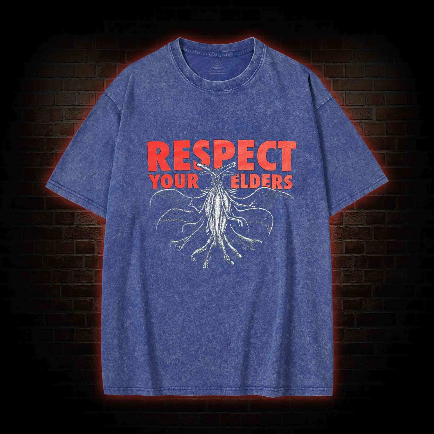 Respect Your Elders Washed T-shirt