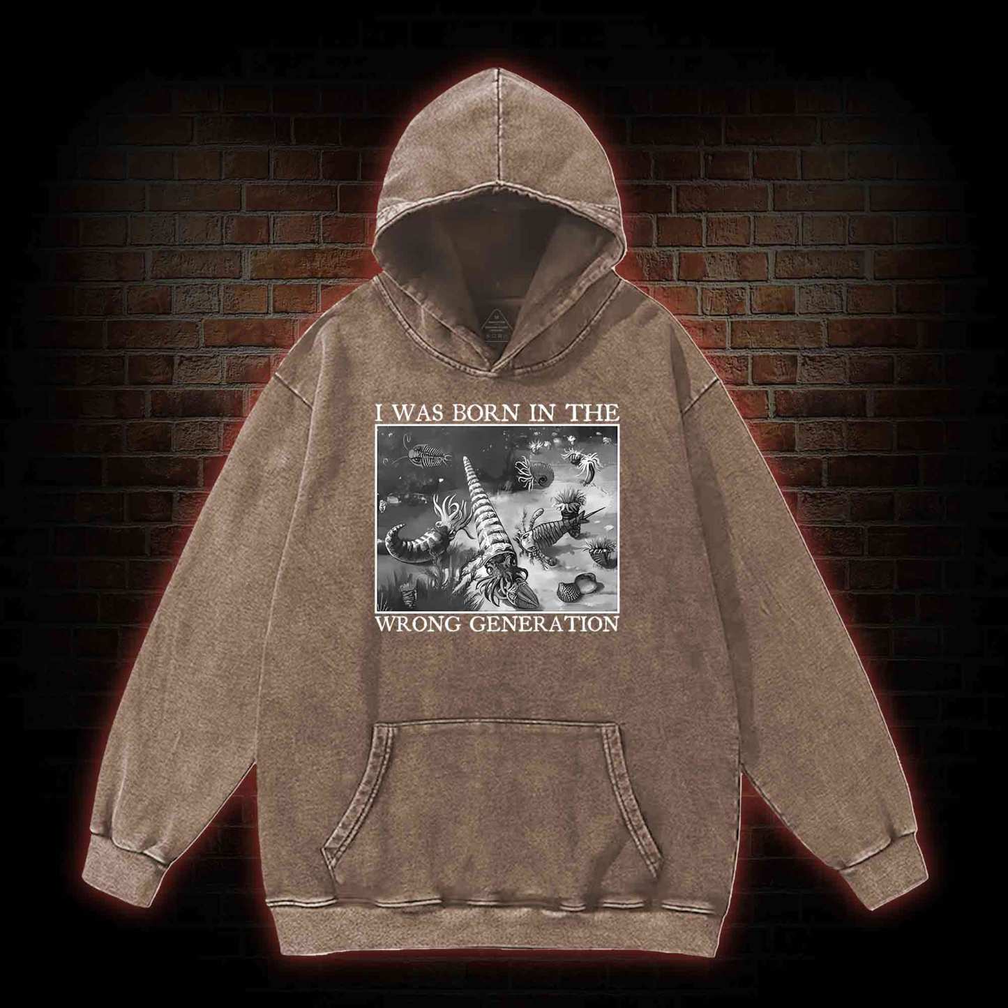I Was Born In The Wrong Generation Washed Hoodie