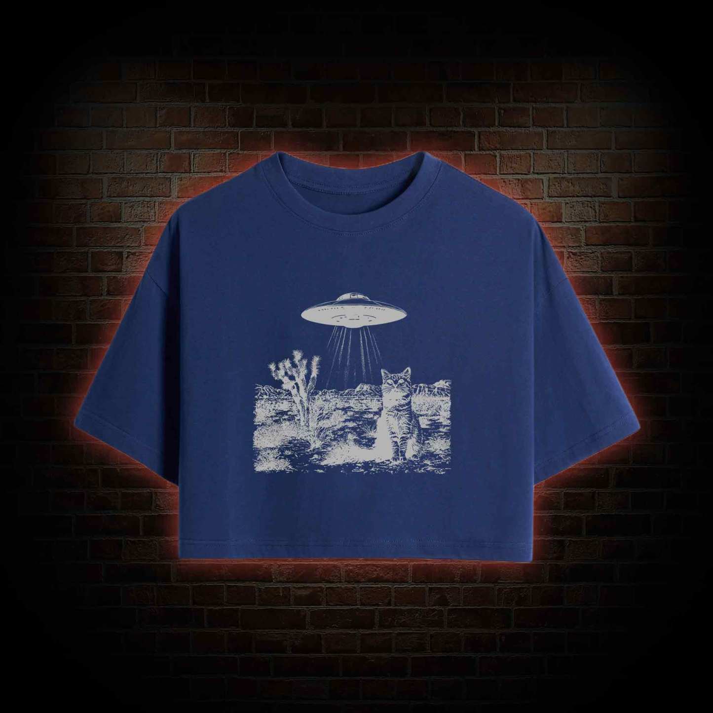Ufo Cowboy Cat Crop Top