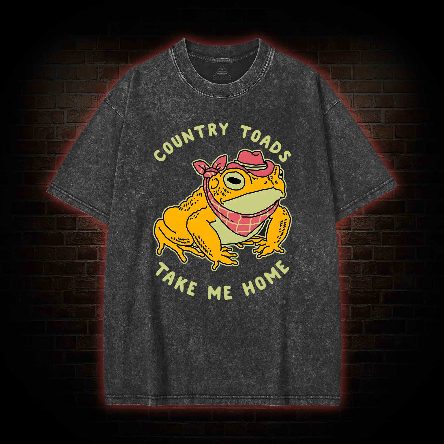 Country Toads Take Me Home Washed T-shirt