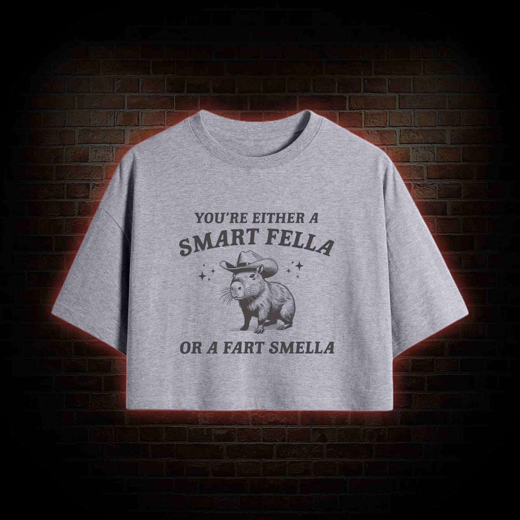 Smart Fella Or Fart Smella Crop Top