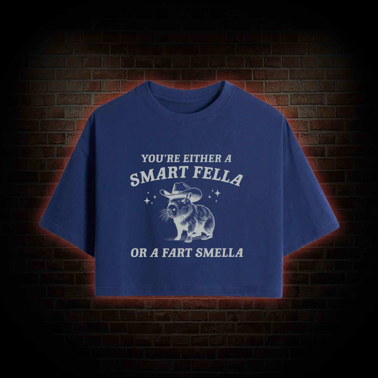 Smart Fella Or Fart Smella Crop Top