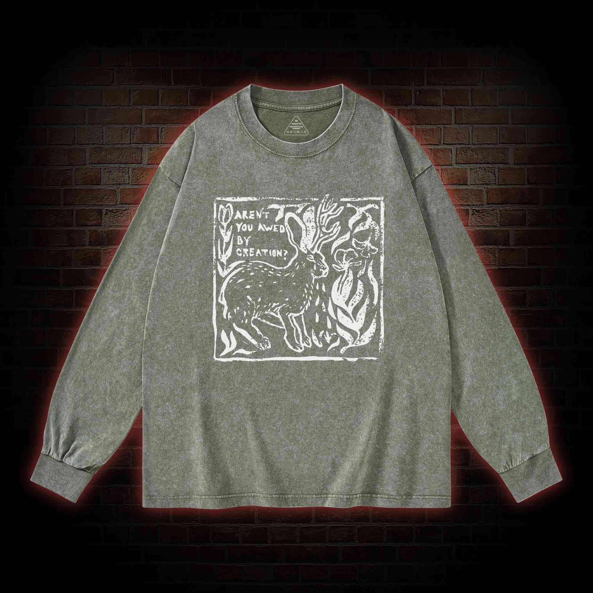 Aren't You Awed by Creation Washed Long-Sleeve T-shirt