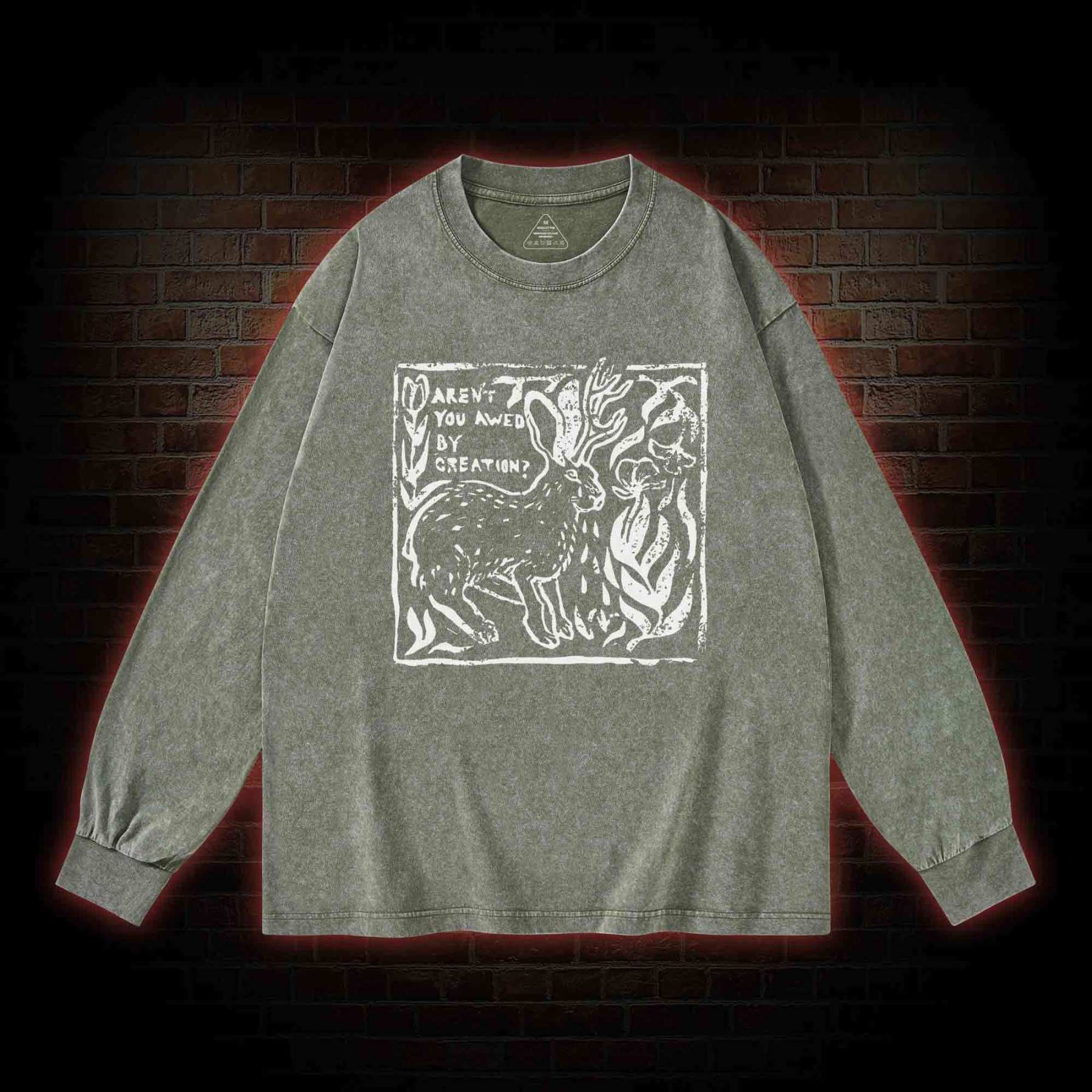 Aren't You Awed by Creation Washed Long-Sleeve T-shirt