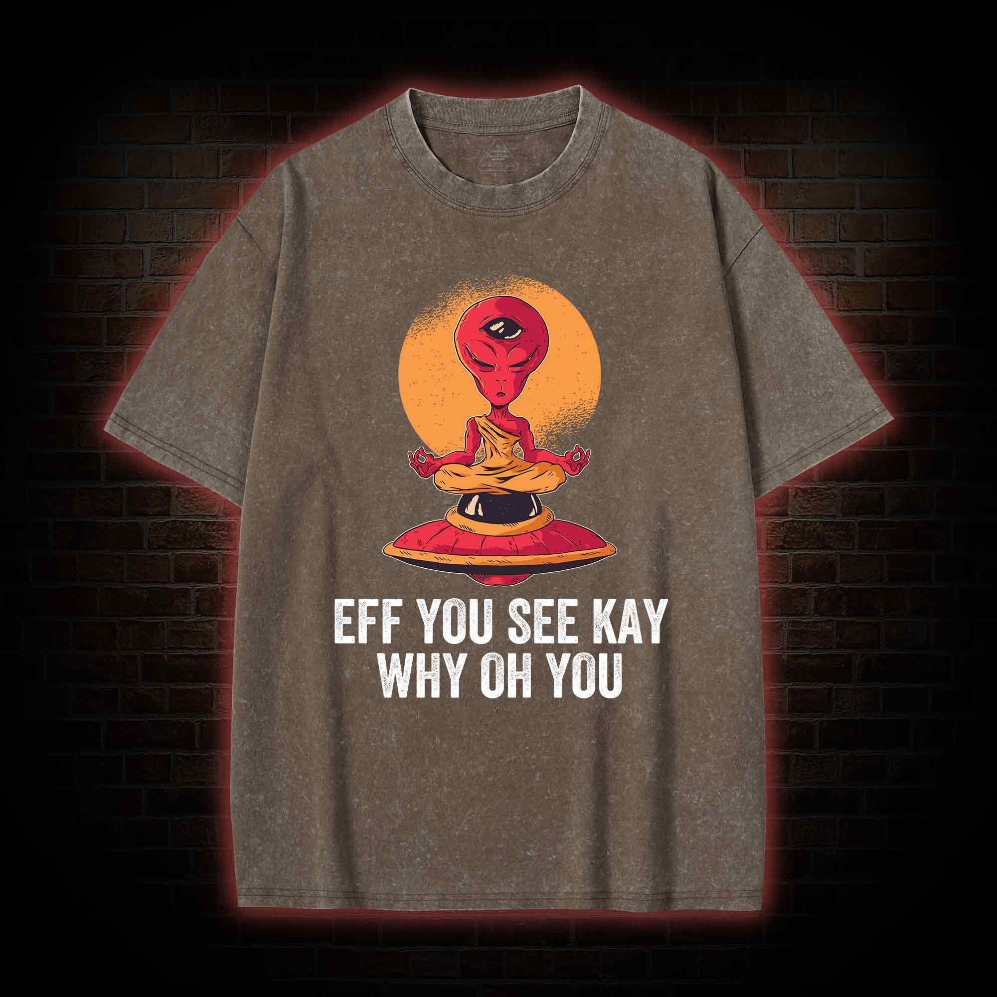 Eff You See Kay Why Oh You Alien Washed T-shirt