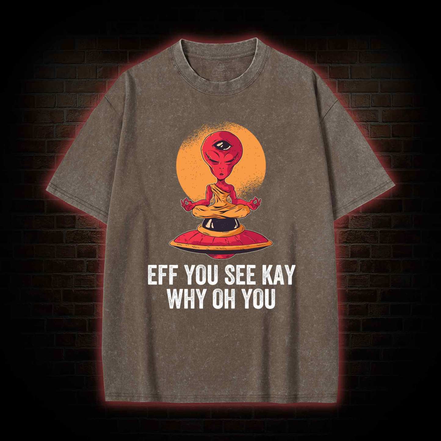 Eff You See Kay Why Oh You Alien Washed T-shirt
