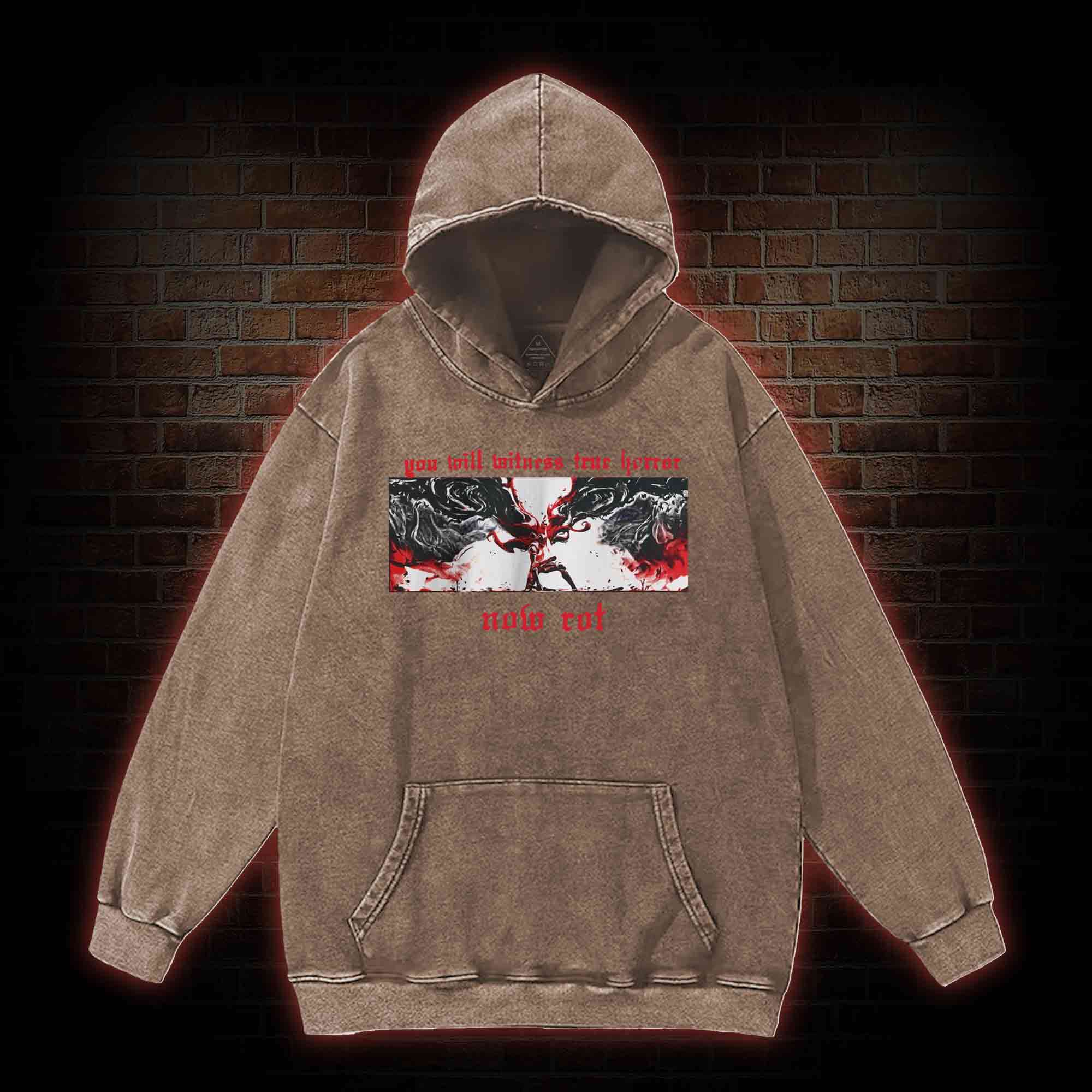 Put These Foolish Ambitions to Rest Washed Hoodie