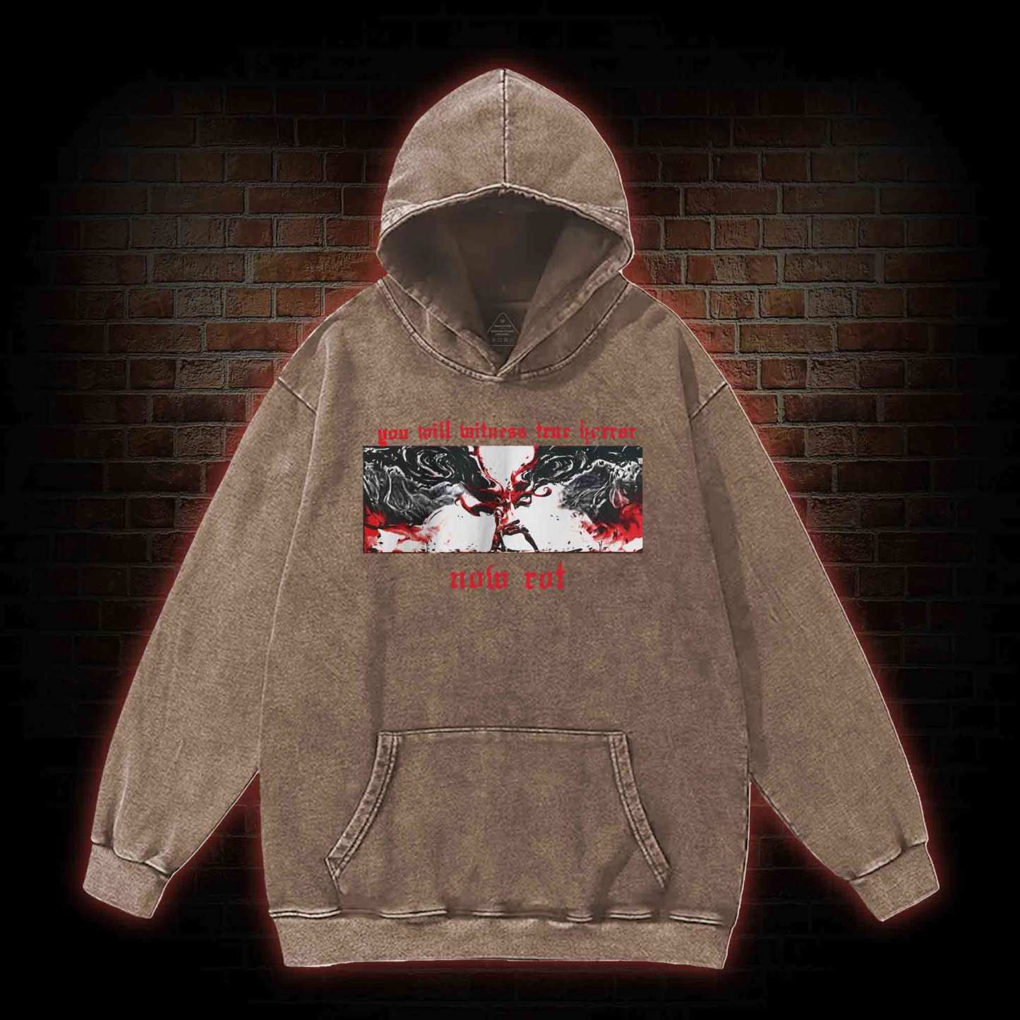 Put These Foolish Ambitions to Rest Washed Hoodie