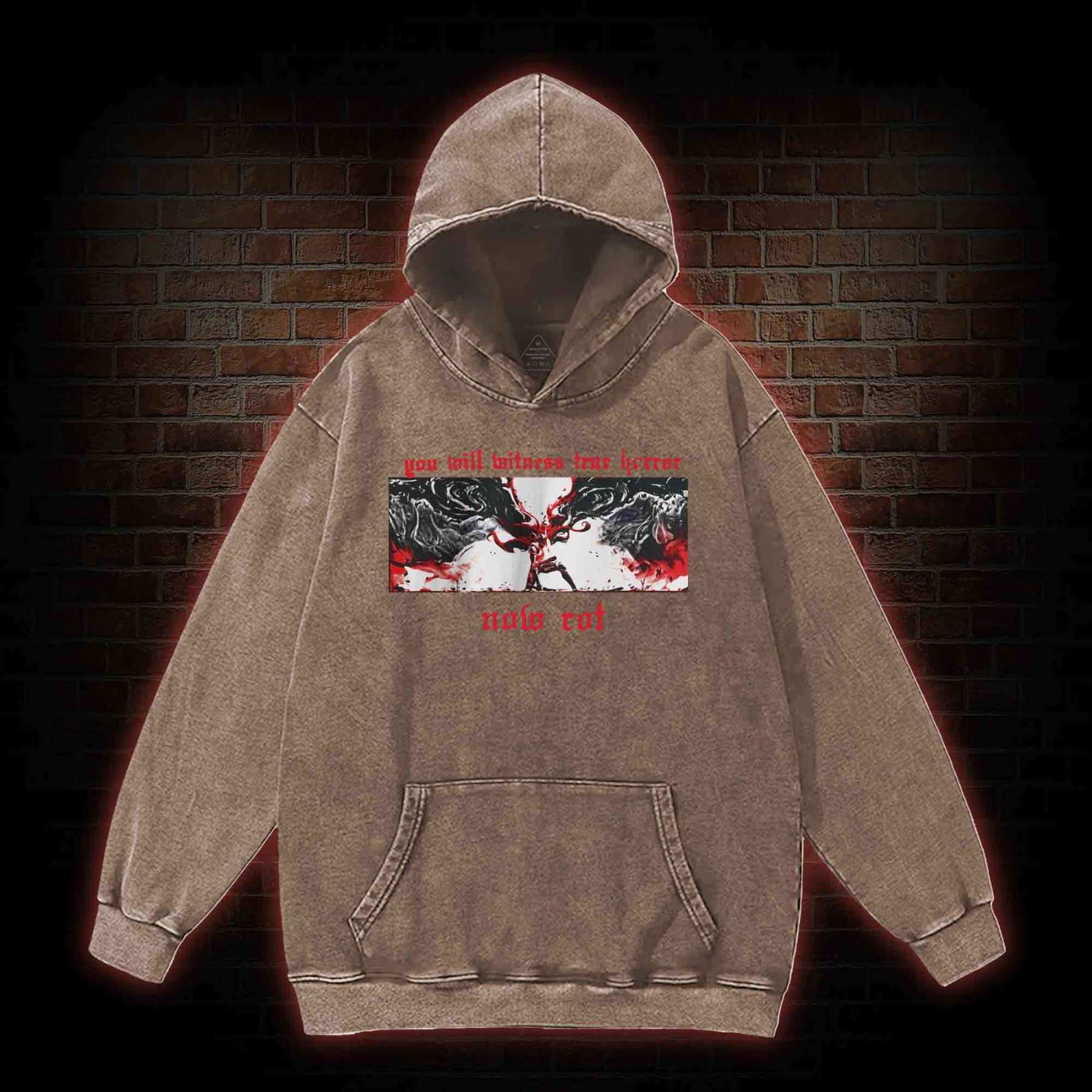 Put These Foolish Ambitions to Rest Washed Hoodie