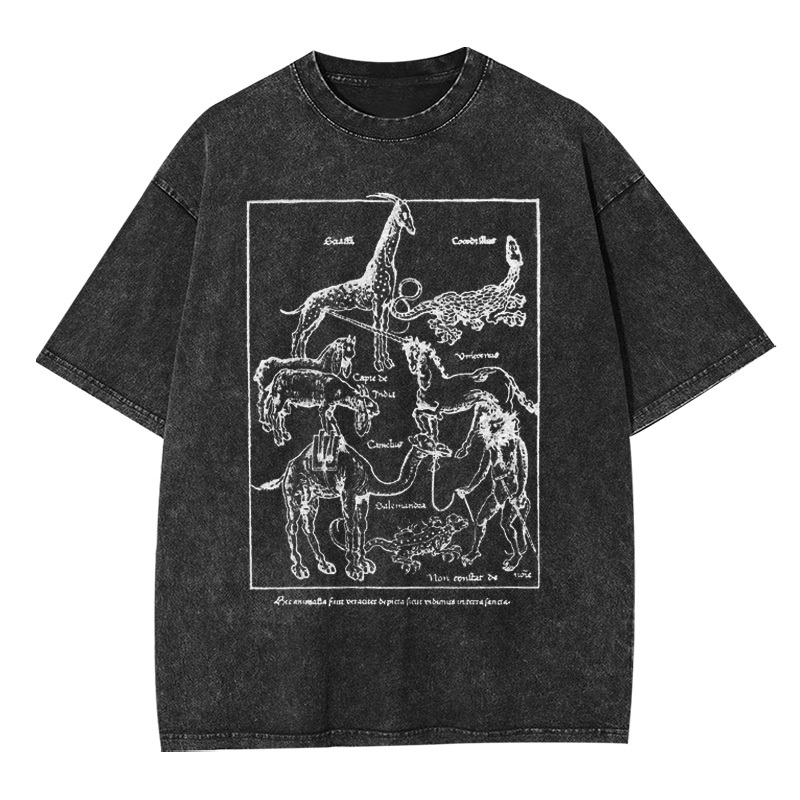 Beasts of the Holy Land Washed T-shirt