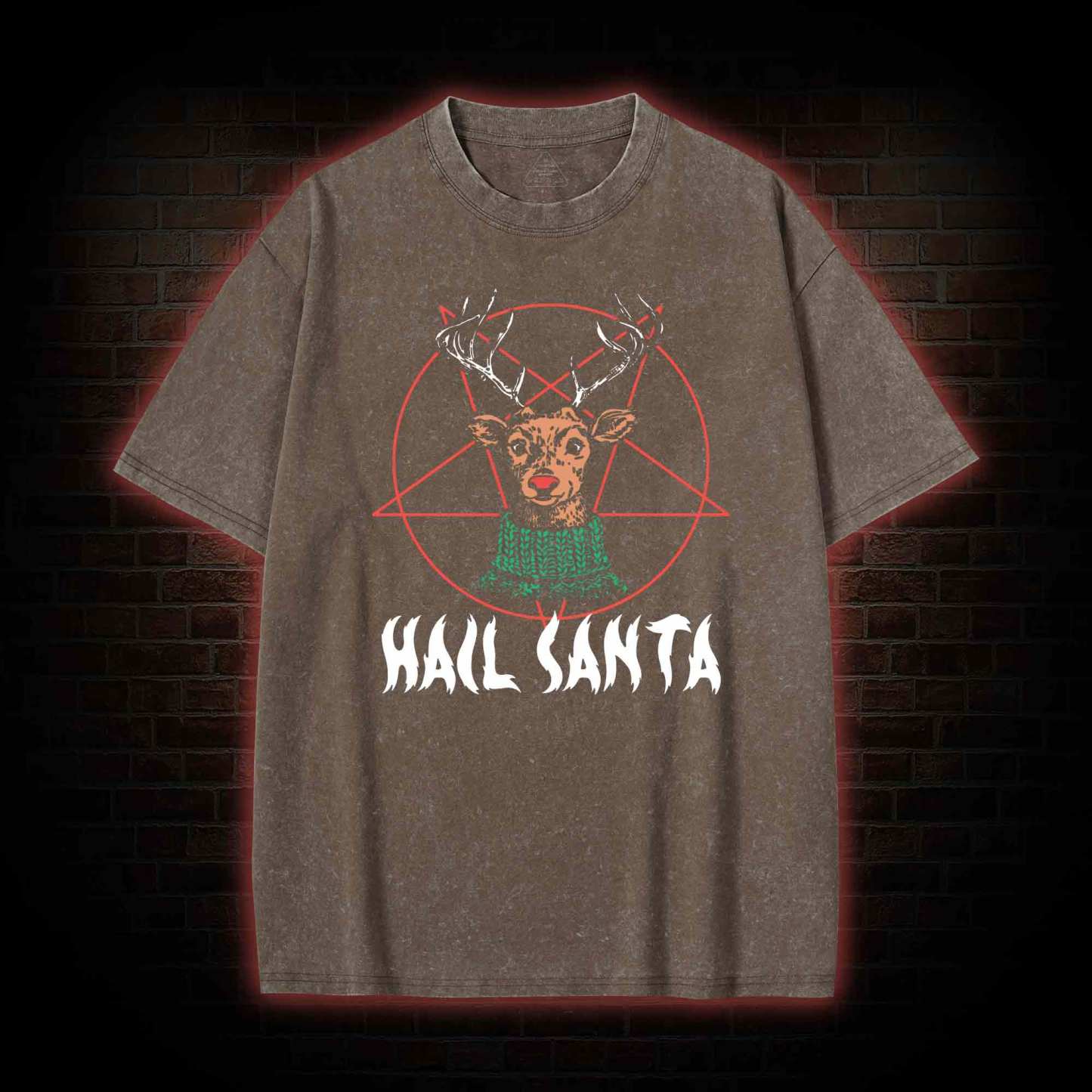Hail Santa Washed T-shirt