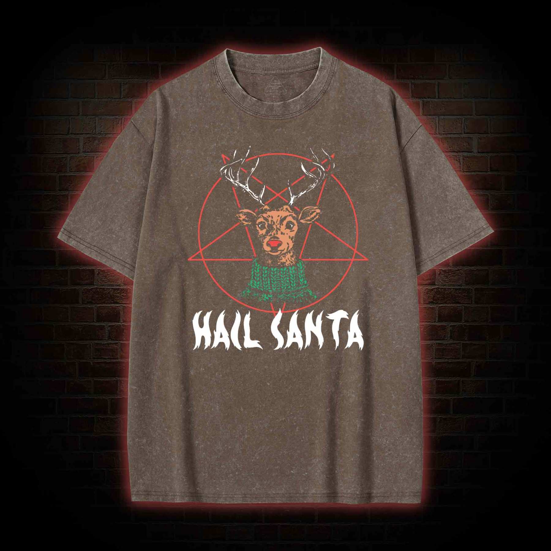 Hail Santa Washed T-shirt