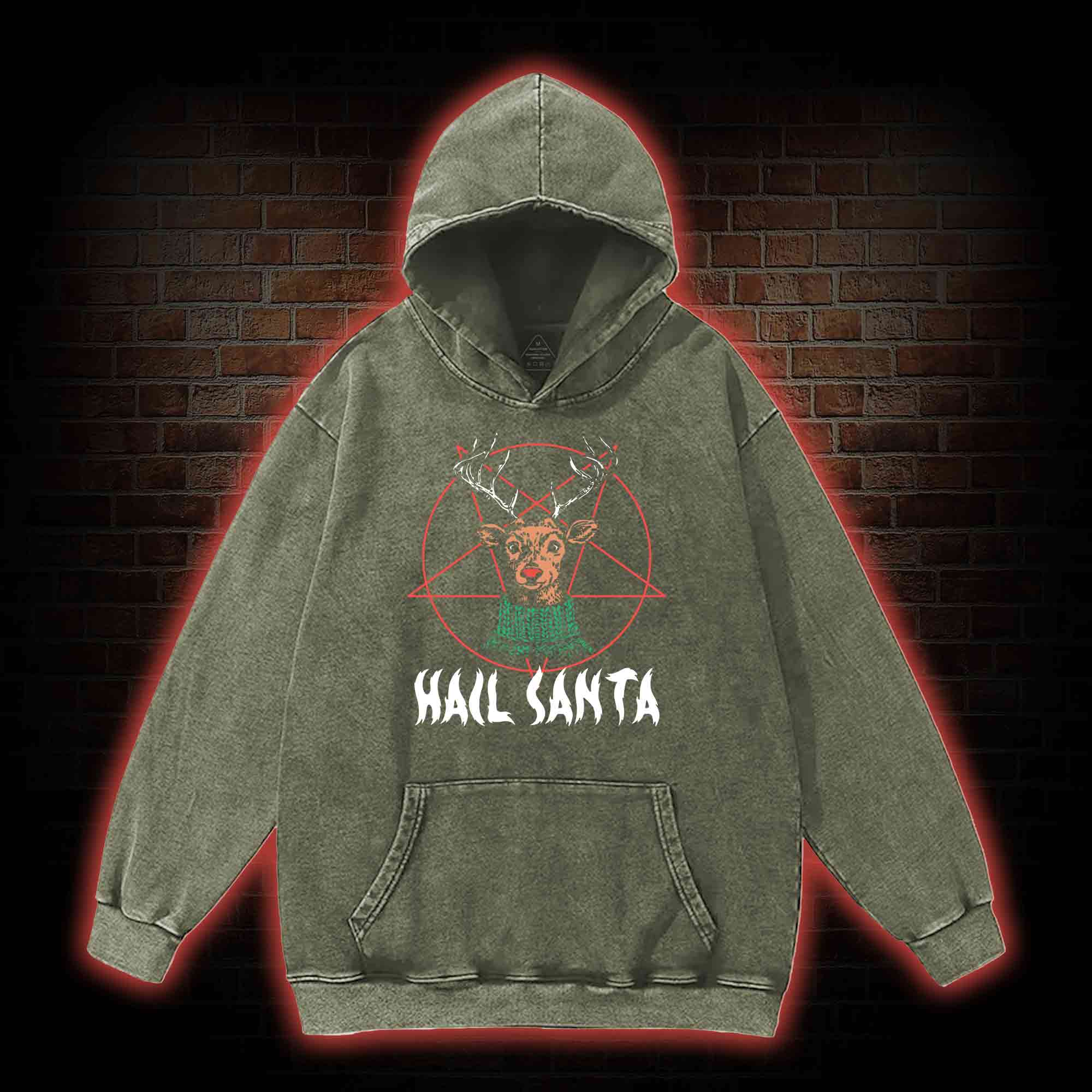 Hail Santa Washed Hoodie