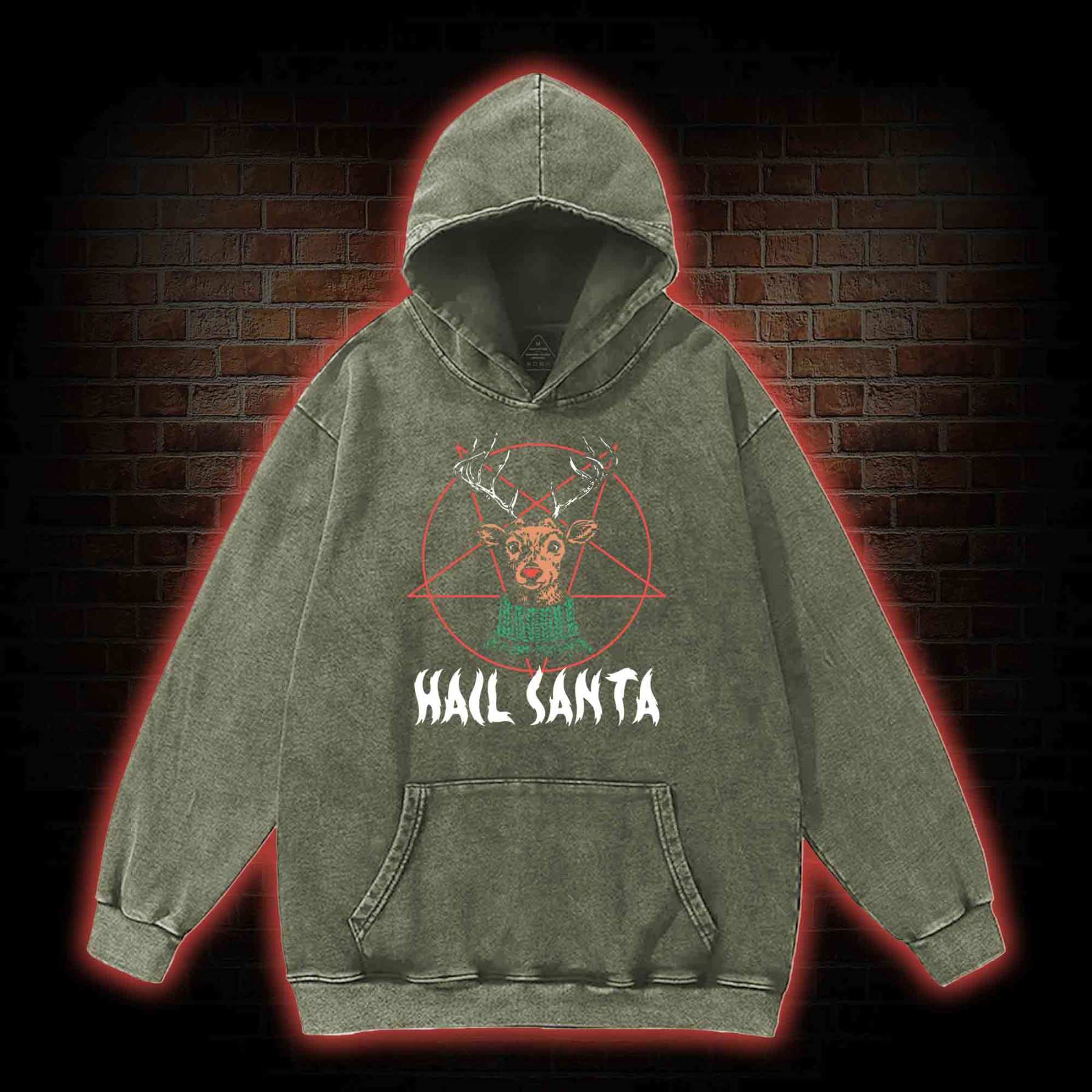 Hail Santa Washed Hoodie