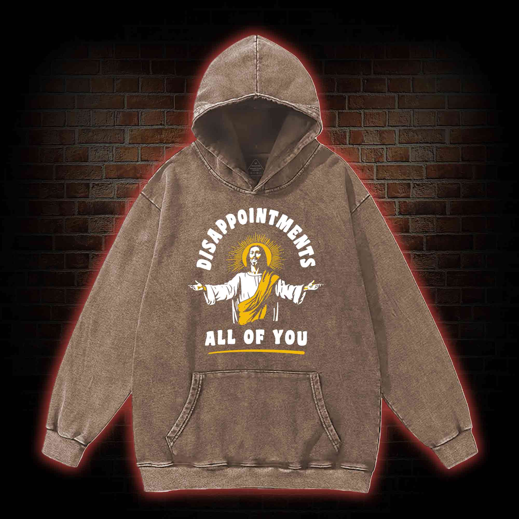 Disappointments All Of You Washed Hoodie