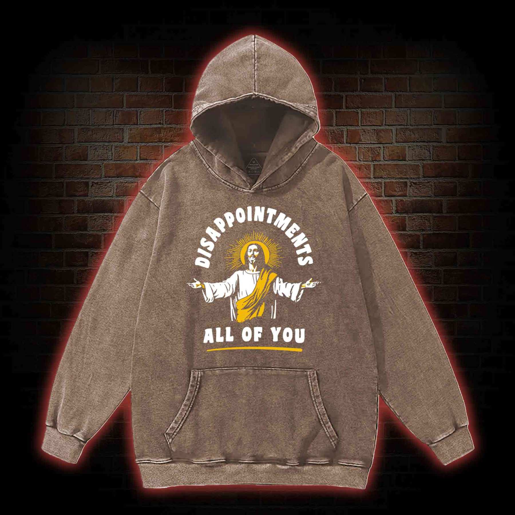 Disappointments All Of You Washed Hoodie