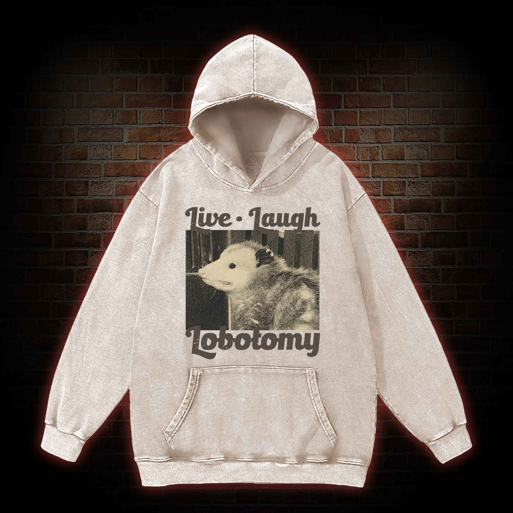 Live Laugh Lobotomy Washed Hoodie
