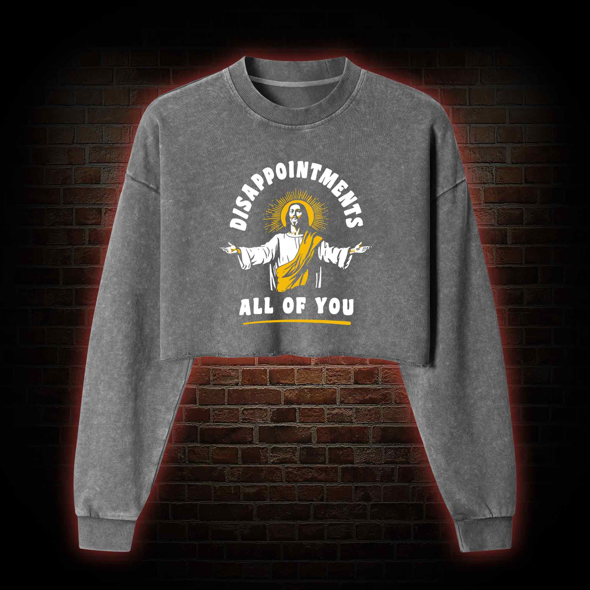 Disappointments All Of You Washed Cropped Sweatshirts
