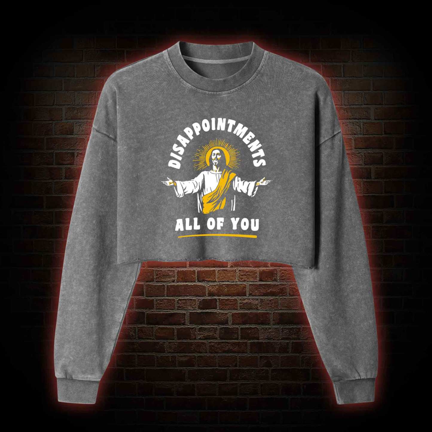 Disappointments All Of You Washed Cropped Sweatshirts