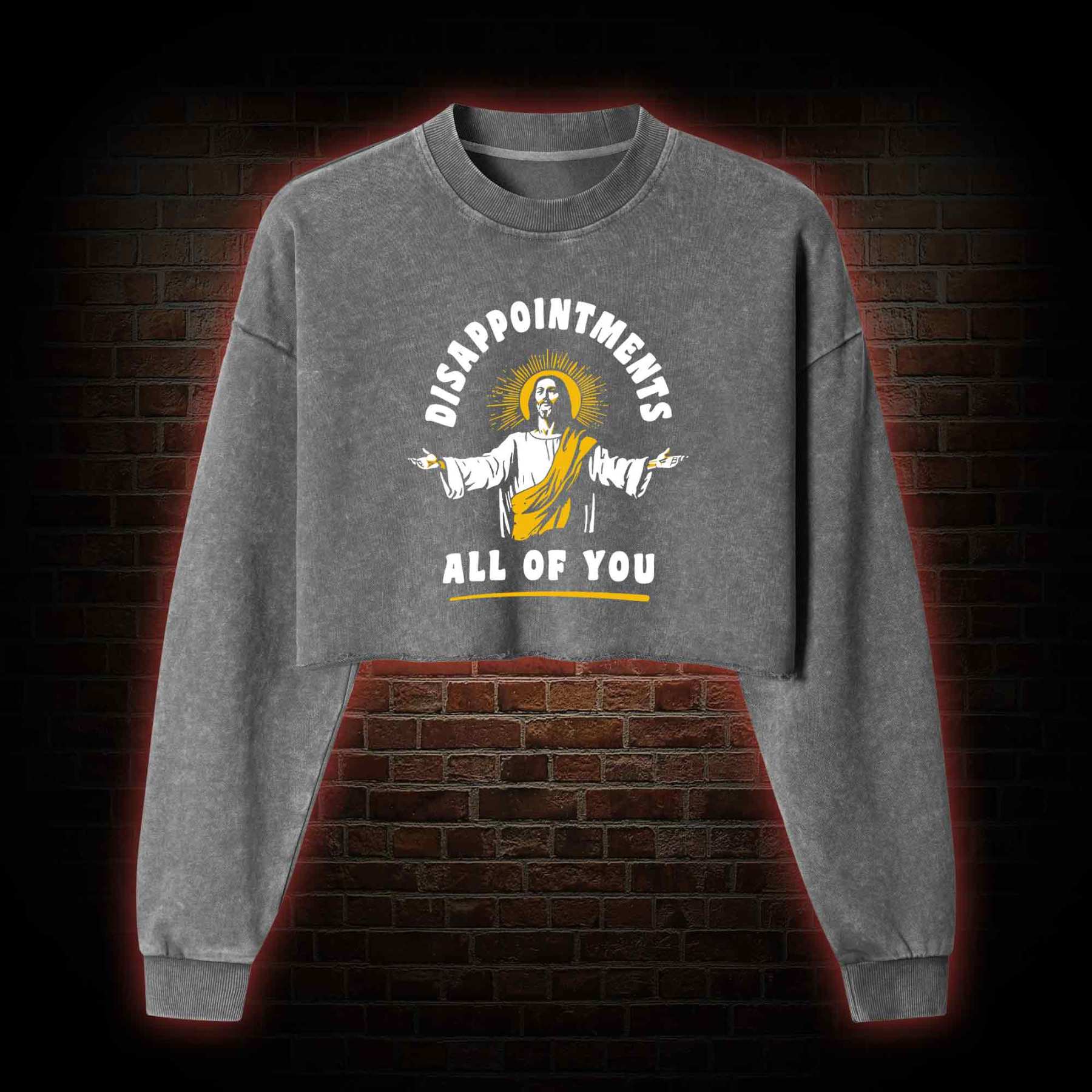 Disappointments All Of You Washed Cropped Sweatshirts
