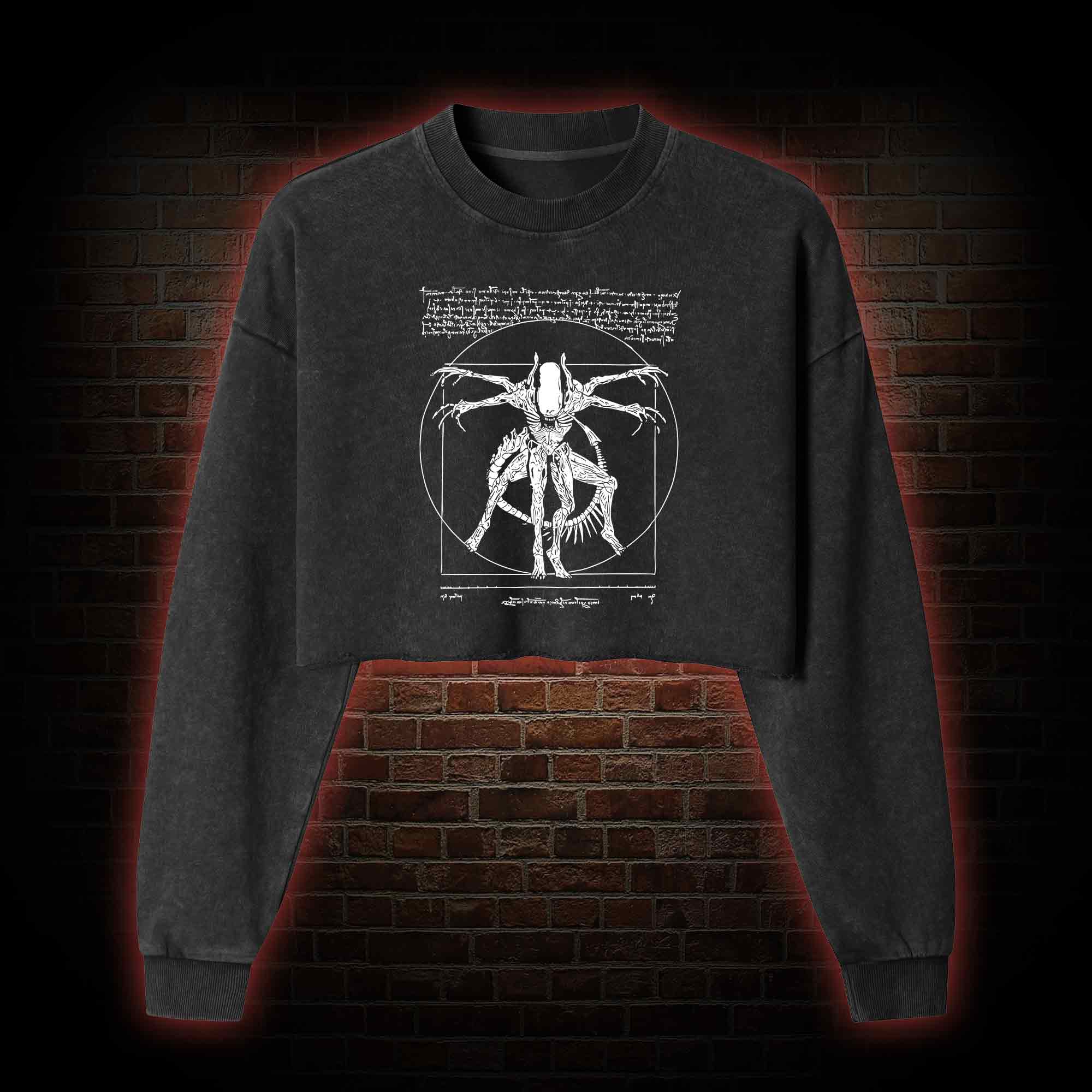 Alien Washed Cropped Sweatshirts