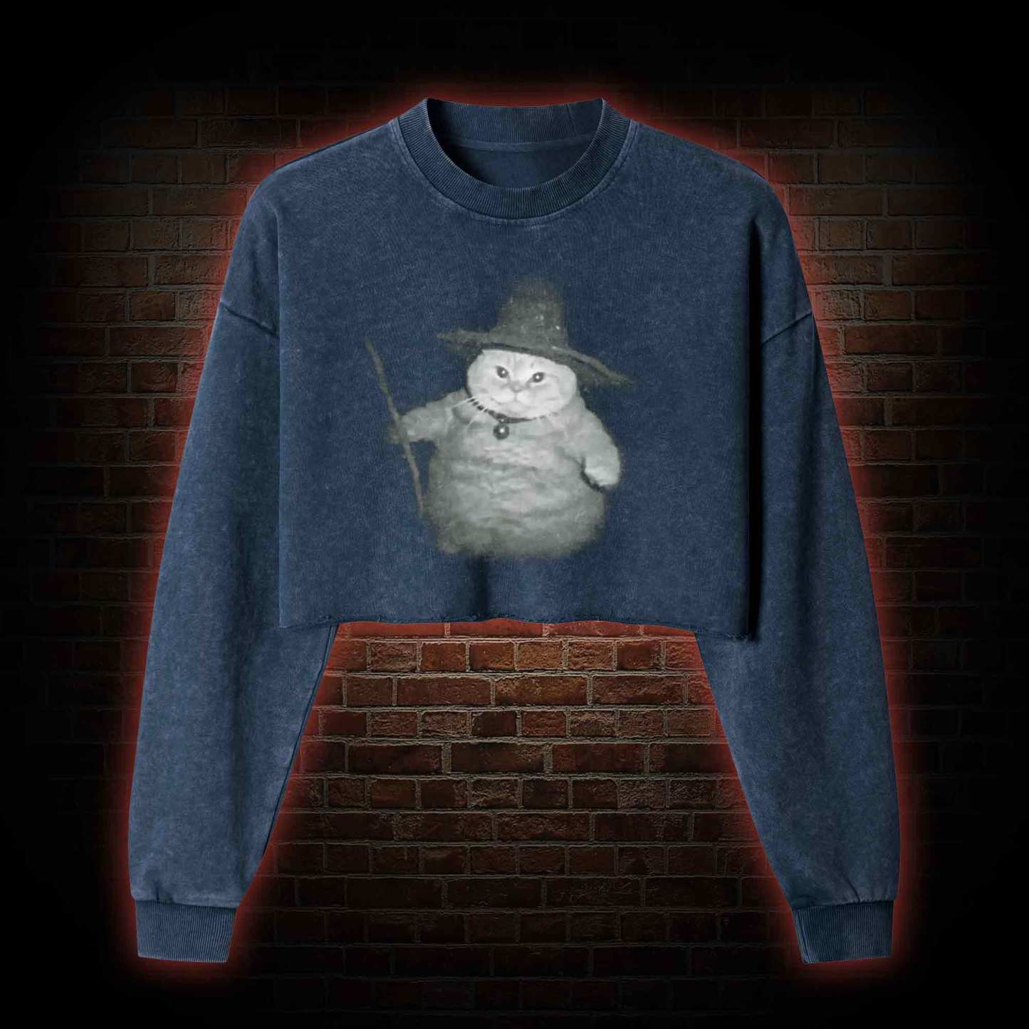 Wizard Cat Vintage Washed Cropped Sweatshirts
