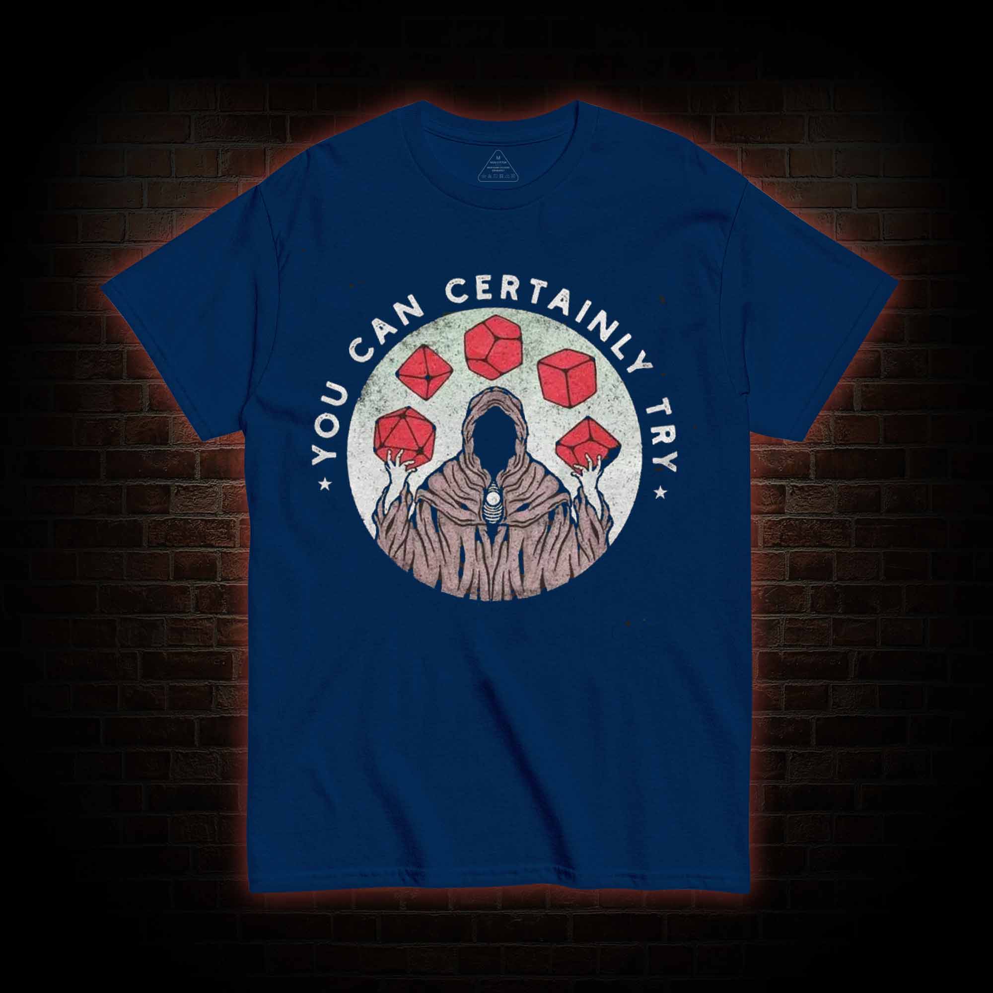 You Can Certainly Try T-shirt